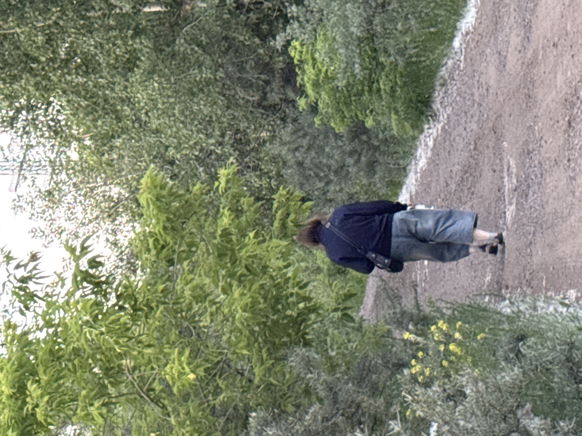 An individual walks away from the camera on a dirt path in a park-like setting. The person is wearing a dark blue jacket and light blue pants, with a dark bag slung across their shoulder. Lush green trees and foliage surround the path, with some yellow wildflowers visible on the left side. The path is dusty and shows signs of wear. The lighting suggests it is daytime, possibly overcast or late afternoon. There is no discernible context for the specific location within Chaikovsky, Russia.