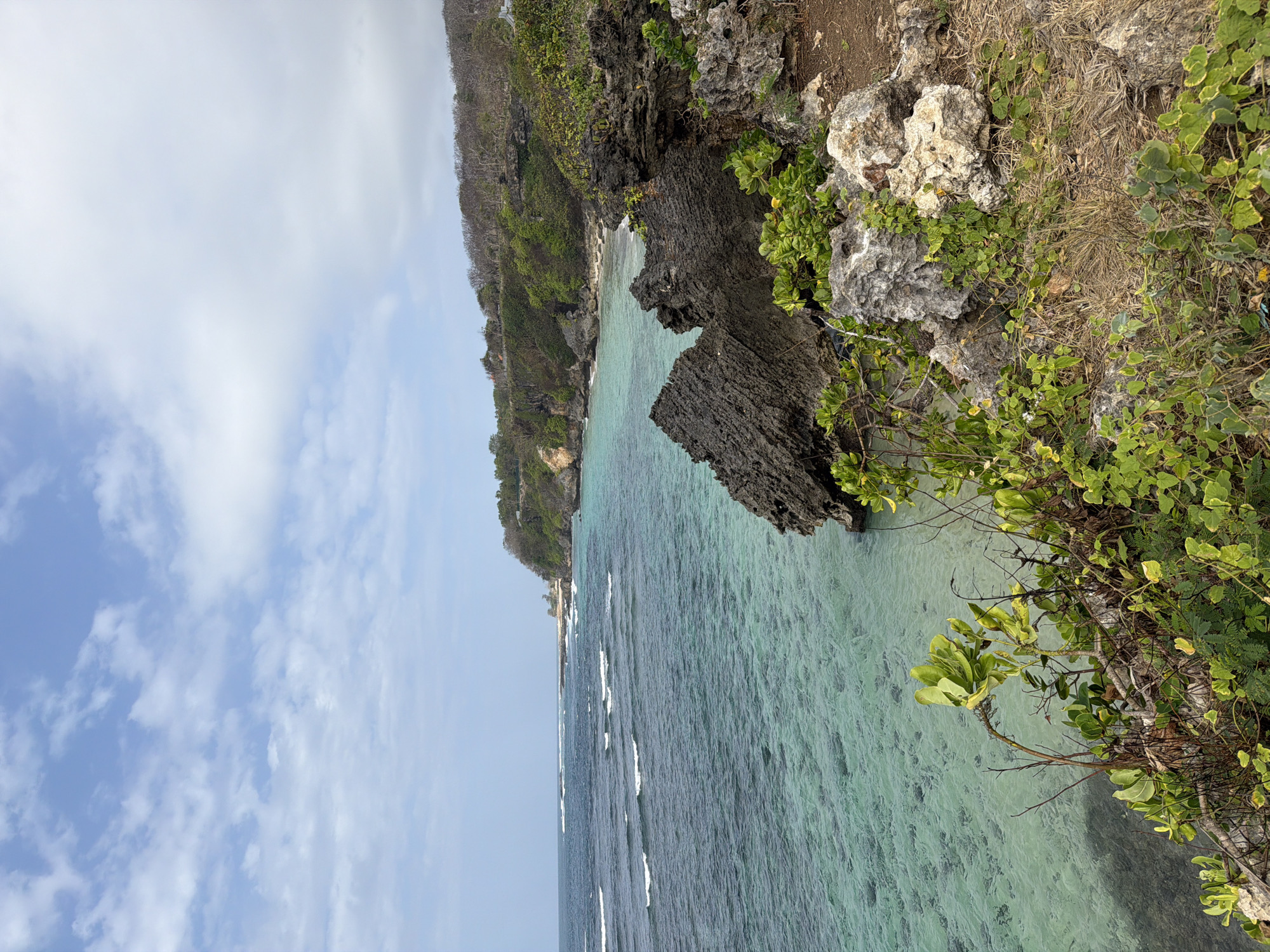 The image depicts a coastal landscape in Kuta Selatan, Indonesia. In the foreground, rugged, dark volcanic rocks jut out, interspersed with lush green foliage. The vegetation is dense, with some branches reaching out towards the sea. Beyond the rocky foreground, the turquoise water of the ocean stretches out, appearing clear and shallow near the shore, revealing the seabed. Gentle waves with white crests roll in towards the coast.
The middle ground features a curved coastline lined with a sandy beach and more rocky outcrops. Cliffs covered in verdant trees and shrubs rise behind the beach, creating a natural barrier. A narrow road or path can be seen winding along the top of the cliffs, hinting at human presence and development.
The background is dominated by a hazy sky with scattered white clouds against a pale blue expanse. The overall impression is a serene, natural coastal environment, characteristic of the Kuta Selatan region known for its beautiful beaches and dramatic cliffside views. There are no people or animals visible in the frame.