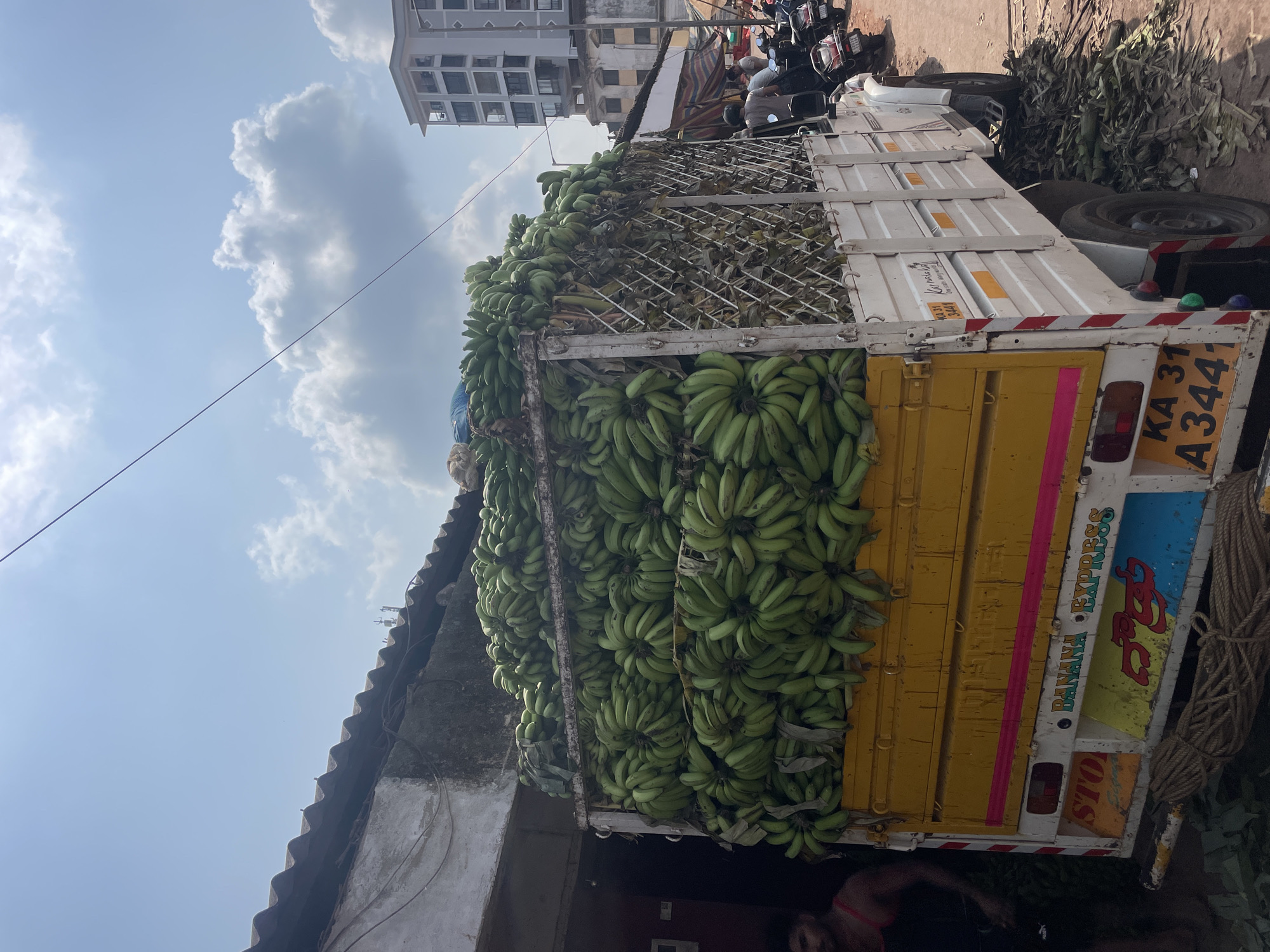 A truck overflowing with green bananas is parked on a street in Mapusa, India. The truck's license plate is KA 31 A3447 and features "Banana Express" signage. The truck's bed is yellow with white metal lattice on top. The bananas nearly fill the bed, spilling over the sides. The street appears busy, with scooters parked nearby and a partially visible building in the background. A person is visible underneath the bananas beside the back of the truck, and another person on the other side of the bananas at the top of the truck. The sky is partly cloudy.