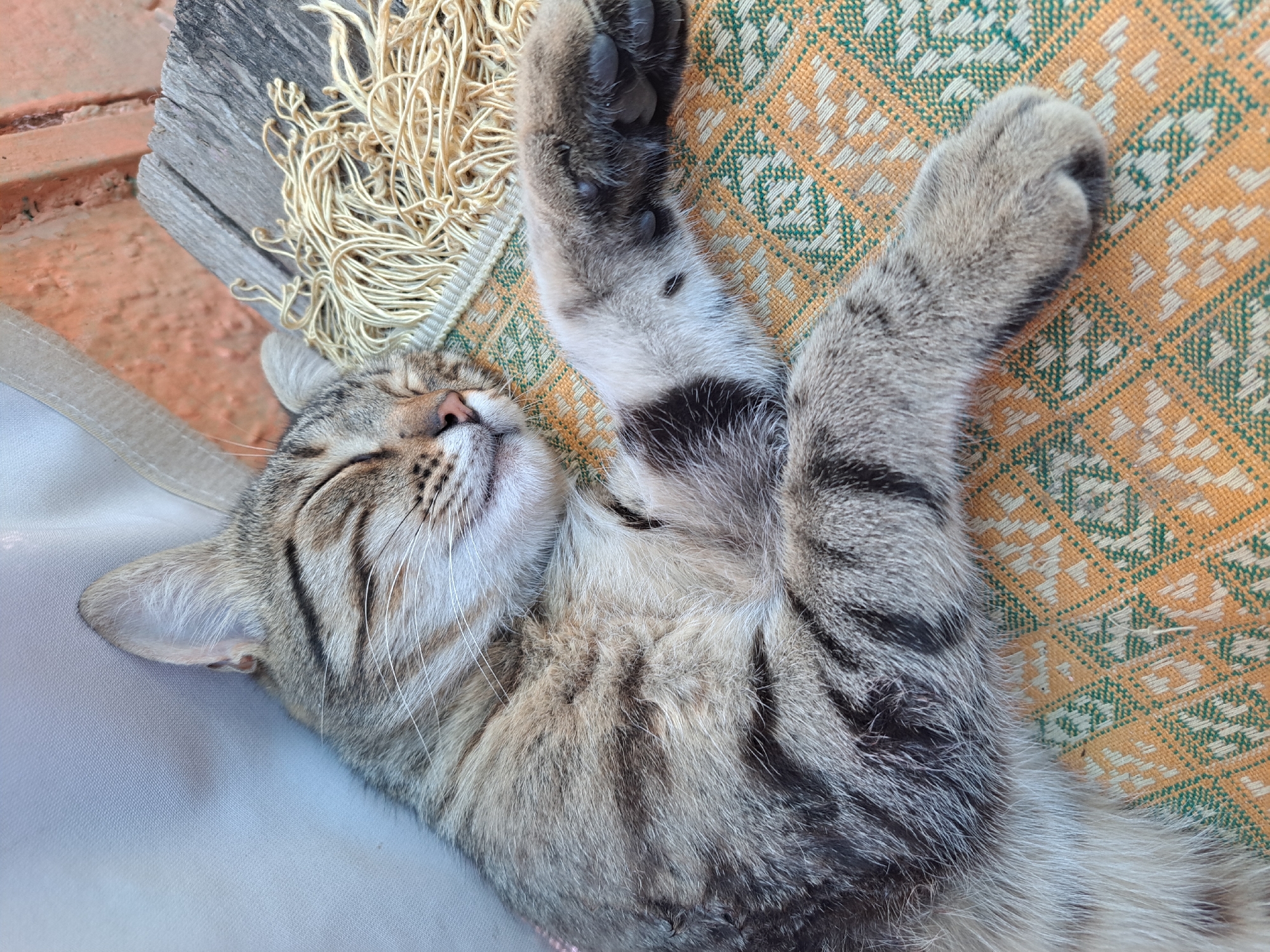 A domestic cat is sleeping outdoors on a textured mat, possibly a woven rug or cushion, with a pattern of yellow and green geometric shapes. The cat is a tabby with grey and brown stripes. Its eyes are closed, and its head is resting on its paws, with one paw extended forward. In the background, there is a light-colored fabric, a weathered wooden surface, and some loose, light-colored threads. The environment appears to be a rustic setting. The location is confirmed to be Vypasne, Ukraine.