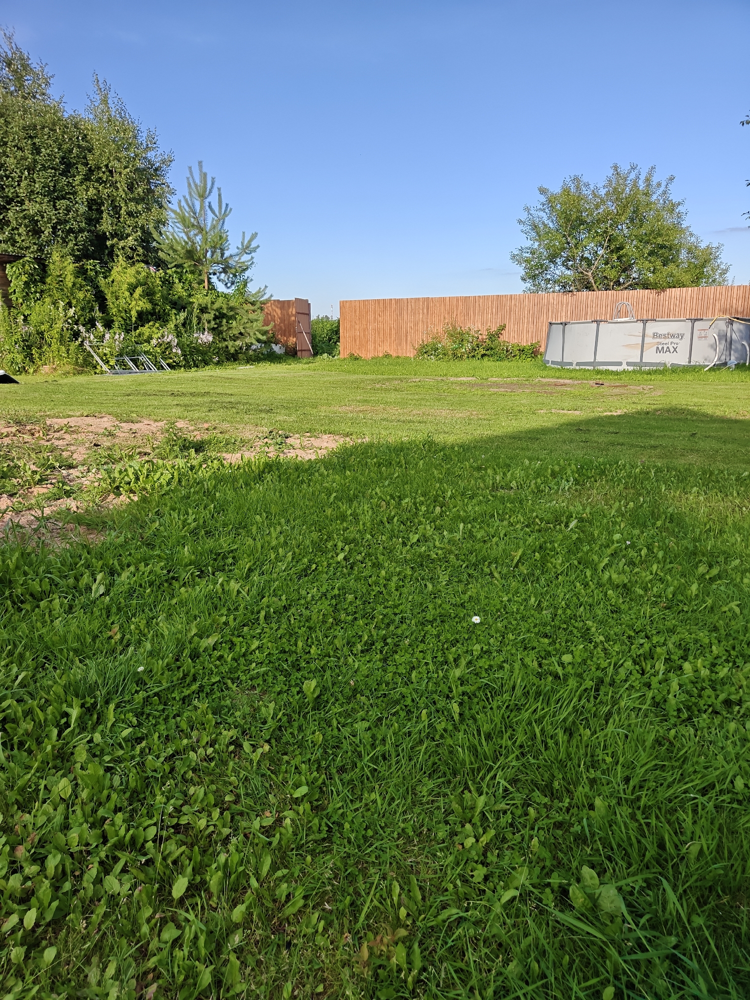 The image shows a backyard scene on a clear, sunny day. In the foreground, a large expanse of green grass dominates the frame, with some patches of dirt and scattered weeds. Towards the middle ground, there is a lawn with a small white object, possibly a golf ball, visible. In the background, a wooden fence runs horizontally across the image. To the right of the fence, an above-ground swimming pool with a "Bestway Steel Pro MAX" label is visible. To the left of the fence, there are various trees and bushes, with a ladder lying on the ground. The sky above is a clear, bright blue. The scene depicts a residential backyard in the city of Gorki, Russia.