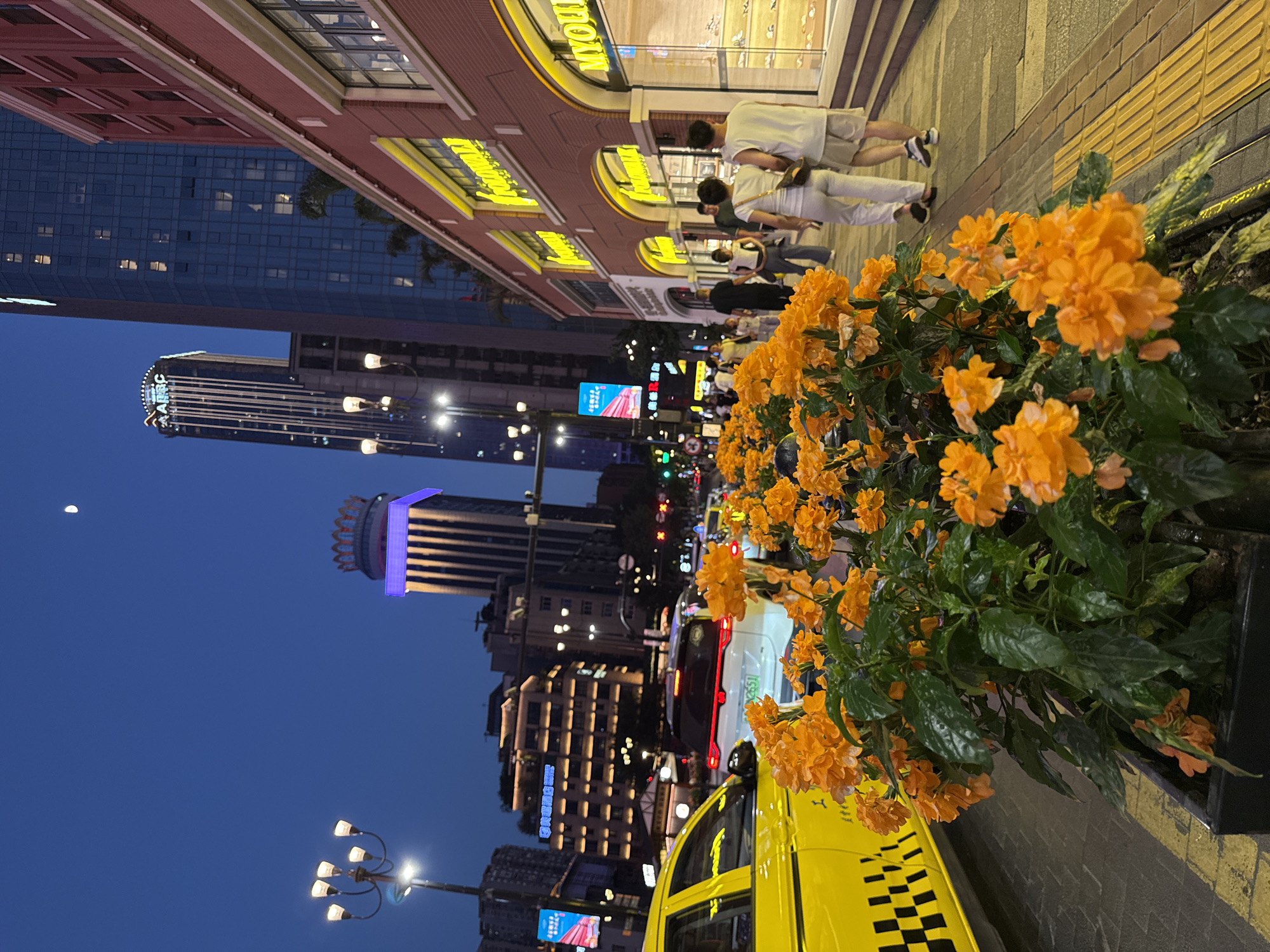 This is a medium shot, taken at dusk, of a street scene in Yuzhong District, China. In the foreground, a planter box is filled with vibrant orange flowers. To the left, a yellow taxi with a black and yellow checkered pattern on its side is parked on the street. Beyond the taxi, traffic is visible, including a white SUV.
The sidewalk to the right is lined with people walking. A brick building with arched windows displaying merchandise stands along the sidewalk, displaying the text "frozwall" in yellow lettering. Further down the street, tall buildings with illuminated windows rise into the twilight sky. One prominent skyscraper features a crown-like illuminated structure at its peak and the text "ABHC". Another tall building is predominantly blue glass. The moon is visible in the dark blue sky. The streetlights are on, casting a warm glow on the scene. The overall impression is of a bustling urban environment at the end of the day.