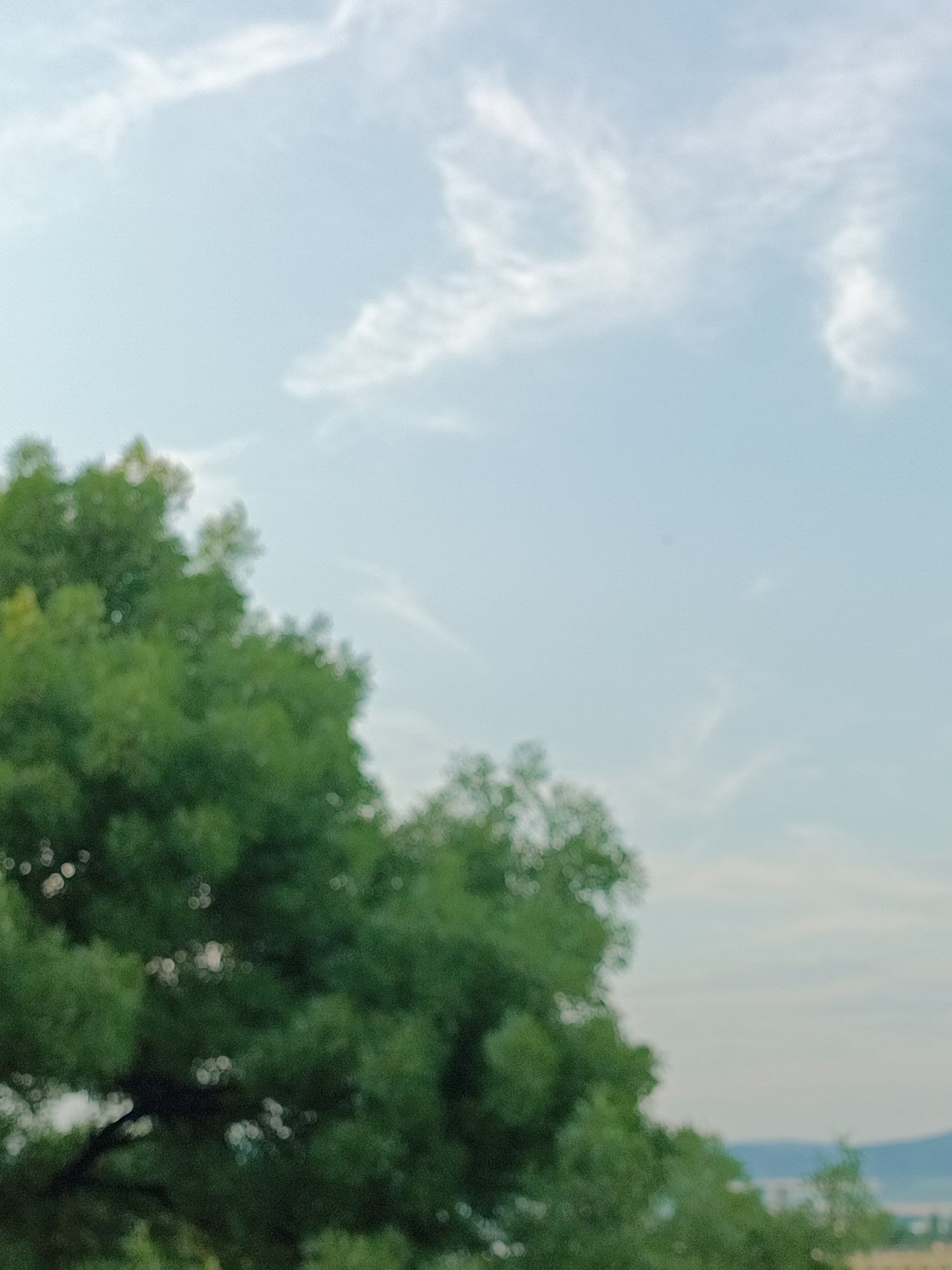 The image depicts an extremely out-of-focus outdoor scene, bisected between a pale blue sky and blurred green foliage. The upper two-thirds of the frame consist of a light blue sky with scattered, wispy white clouds. A single, small, dark, circular anomaly is visible in the central upper portion of the sky. The lower third, extending upwards and across the left and bottom right sections, is dominated by dense, dark green tree canopies. These trees are rendered as prominent circular bokeh, indicating a very shallow depth of field, with no discernable individual leaves or branches. In the bottom right quadrant, beyond the trees, a highly indistinct, hazy blue-gray horizon line with faint, ambiguous shapes suggestive of distant landforms or structures is barely discernible. No specific individuals, objects, or actions are identifiable. The overall extreme blur throughout the image makes a precise identification of the environment beyond "outdoor scene with sky and trees" challenging, and the location in the city of Unknown, Unknown is not discernible from this image.