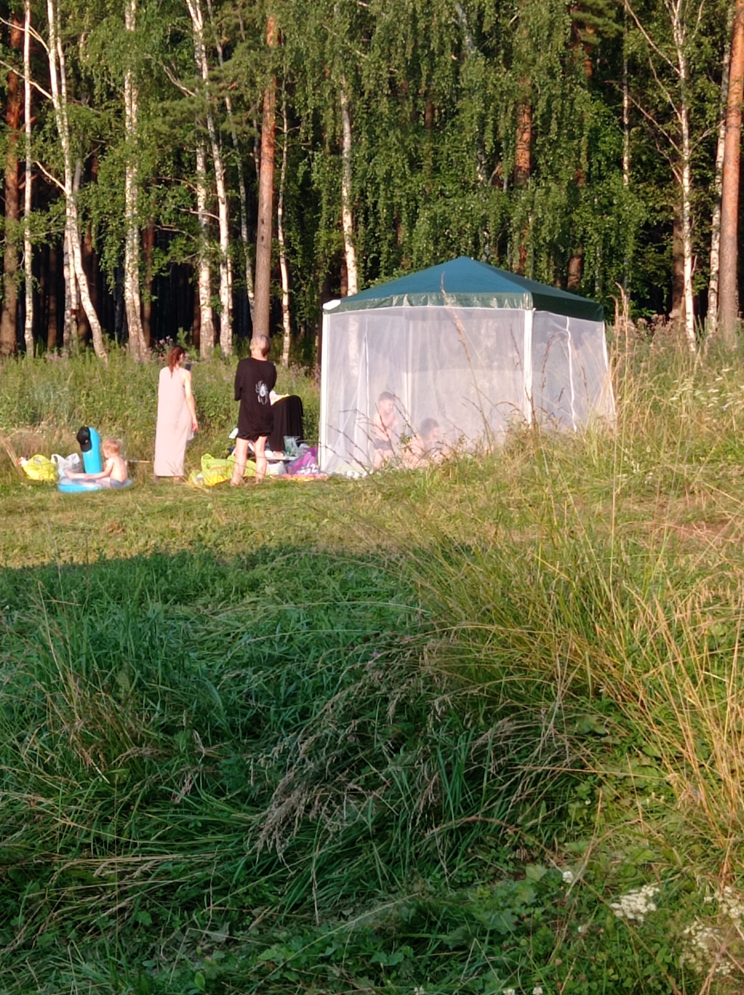 In Degtyarsk, Russia, on a grassy area near a forest edge, a group of people are gathered near a white mesh gazebo. A child is sitting in a blue inflatable pool with a black hat on the side. Two women are standing outside the gazebo; one is wearing a long light-colored dress and the other a dark t-shirt and shorts. Inside the gazebo, two individuals, partially obscured by the mesh, appear to be sitting. Yellow and green bags are scattered on the grass. The environment is characterized by tall grass, trees with slender trunks, and dappled sunlight suggesting late afternoon.