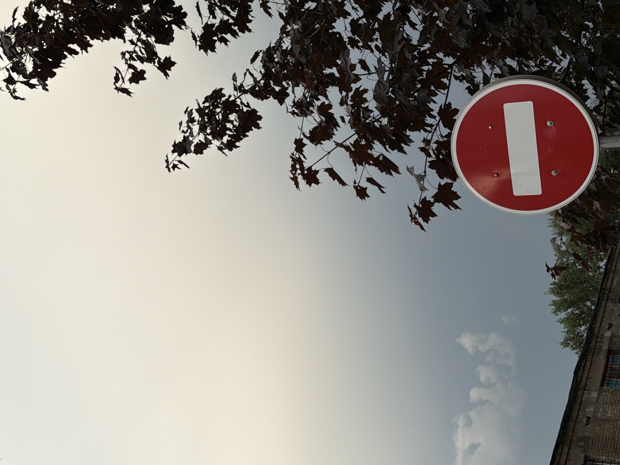 The image shows a close-up of a red, circular "Do Not Enter" traffic sign with a white horizontal bar. The sign is positioned in the lower right quadrant of the frame and is mounted on a metal pole. Behind and to the right of the sign, a dark-leaved tree branches out, its leaves appearing wet, suggesting recent rain. In the background, a cloudy sky transitions from a light, pale hue at the top to a darker, stormy grey towards the bottom. At the very bottom left of the image, the top of a weathered brick building with barred windows is visible, along with some green trees peeking out. The overall atmosphere is overcast, with a hint of a looming storm. The context of Kyiv, Ukraine is provided, but the specific location within the city cannot be determined from the visual information. There are no people or animals visible in the frame, nor any discernible actions or interactions. The scene appears to be a street or roadside setting, possibly on the outskirts of a more built-up area given the presence of the brick building.