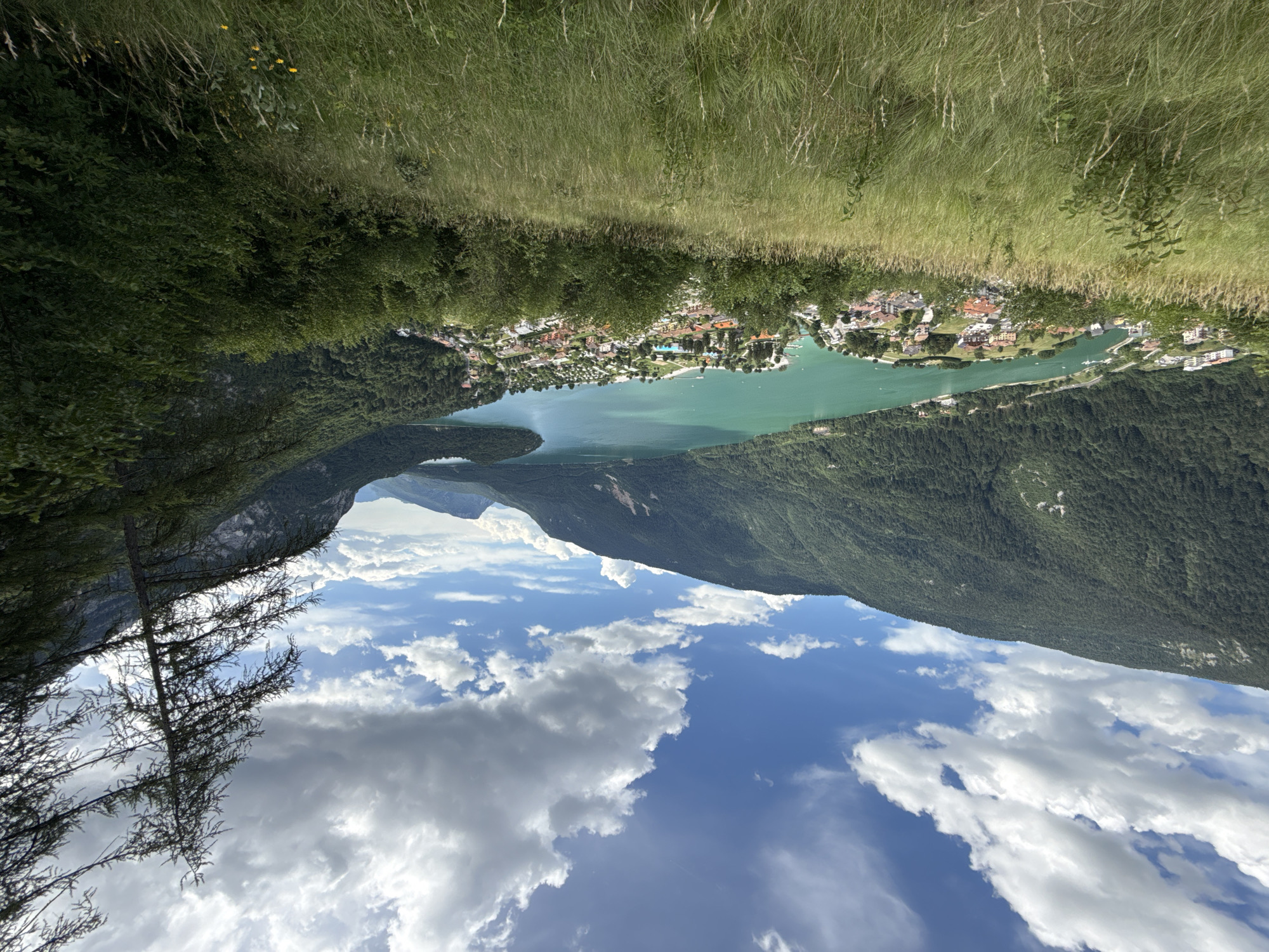 The image depicts a panoramic view of the city of Molveno, Italy, nestled beside a turquoise lake. The foreground is dominated by a grassy slope, with tall, dry grasses and some scattered green foliage. In the mid-ground, the town of Molveno is visible, characterized by its cluster of buildings with red-tiled roofs, interspersed with trees and a campsite. The town extends along the shoreline of a large, vibrant turquoise lake. The lake is surrounded by lush green mountains, densely covered with trees. The sky above is a bright blue, dotted with fluffy white clouds, creating a sense of a pleasant day. The perspective suggests the photo was taken from a slightly elevated position overlooking the town and lake.