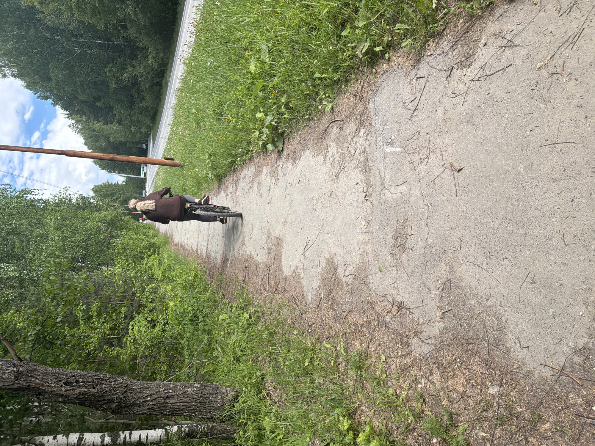 The image depicts a person riding a bicycle on a paved path during daylight hours. The scene is bright, suggesting a sunny morning or afternoon, with a clear blue sky dotted with white clouds visible in the upper left portion of the image.
The main subject is a person, seen from behind, riding a bicycle away from the viewer. The person has long blonde hair tied back and is wearing a dark brown jacket. The bicycle appears to be a mountain or hybrid bike with some red accents on its frame. They are riding on a light-colored, possibly asphalt or concrete, path that has some cracks and is bordered by dirt, dry leaves, and small twigs.
To the immediate right of the path, there is a vibrant strip of green grass interspersed with small white and yellow wildflowers. Beyond this grass, a dense forest or wooded area with numerous green trees extends into the distance. In the background, a gray road or highway can be seen running parallel to the path, flanked by more trees. A tall, dark brown utility pole stands prominently to the left of the path. Closer to the foreground on the left, part of a tree trunk with rough bark and some lighter patches, possibly a birch, is visible, surrounded by green undergrowth.
No visible text can be identified in the image. The overall setting is a natural, outdoor environment, likely a park, trail, or suburban area adjacent to a road.