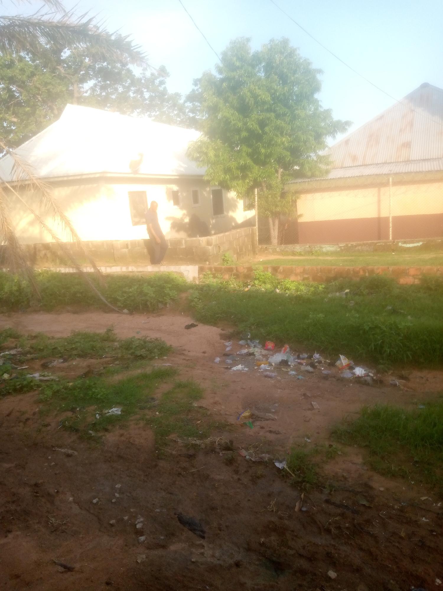 The image depicts an outdoor scene in Jalingo, Nigeria, with a focus on a residential area. In the background, there are two buildings. The building on the left has a white, sloped roof and a light-colored wall with windows. A person in dark clothing is standing near the wall, partially obscured by palm fronds. The building on the right has a corrugated metal roof and a wall with a tan and brown color scheme. A tree with lush green foliage stands between the two buildings.
The foreground is characterized by a dirt and grass area. Patches of green grass are interspersed with bare, reddish-brown earth. Several pieces of litter, including plastic bags and wrappers, are scattered across the ground, particularly in the middle and right sections of the image. A few scattered stones and a dark object, possibly a piece of debris, are also visible on the dirt. The overall environment appears to be a somewhat untidy semi-urban or rural setting.