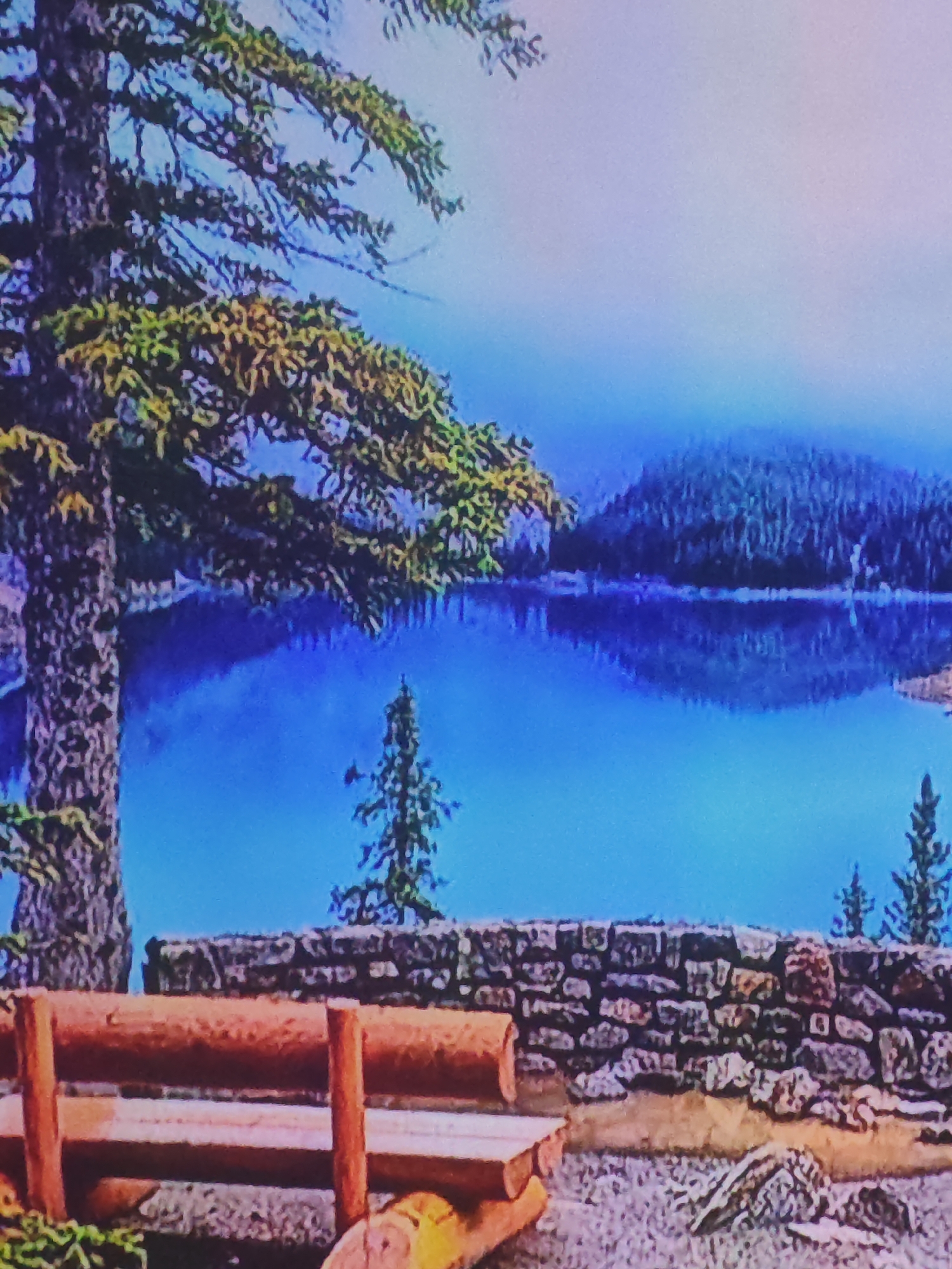 The image shows a serene lakeside scene with a wooden bench in the foreground, facing a calm body of water. A stone wall runs along the edge of the foreground, separating the bench area from the lake. Lush green trees, including a large conifer on the left and smaller ones scattered around, dot the landscape. The lake reflects the surrounding hills, which are covered in dense forest. The sky is hazy and light blue, suggesting either early morning or a misty day. The overall impression is one of tranquility and natural beauty. The image does not depict the city of Plovdiv, Bulgaria, or any urban elements.