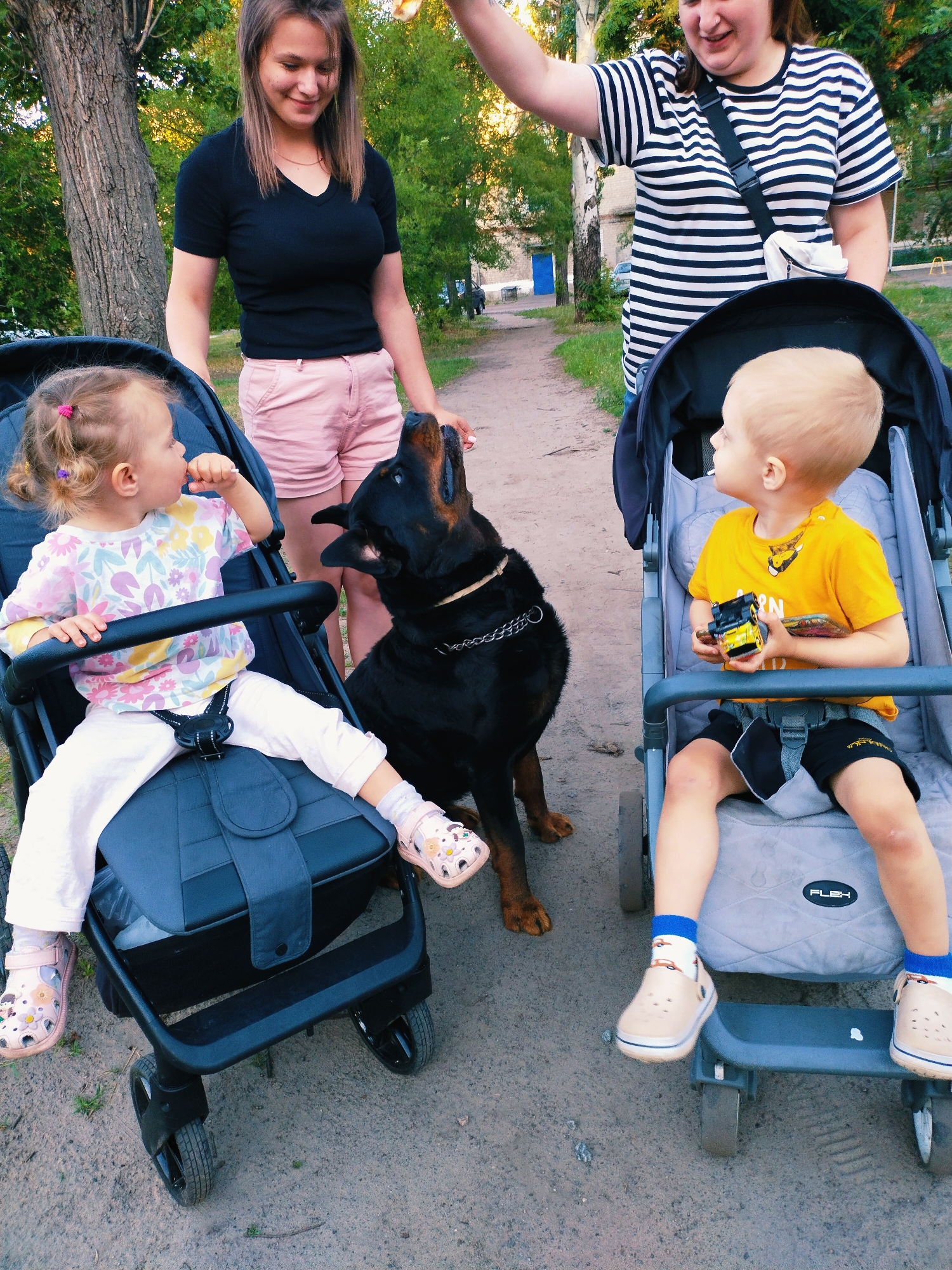 A mother and daughter are spending time outdoors with a dog and two children in strollers in Horishni Plavni, Ukraine. The mother, wearing a black t-shirt and pink shorts, stands behind a stroller with a young girl. The girl, with blonde pigtails and a floral shirt, sits in the stroller and looks at the dog. The dog, a black Rottweiler, looks up at the girl. To the right, another woman, wearing a striped t-shirt, stands behind a second stroller with a young boy. The boy, with blonde hair and a yellow t-shirt, sits in his stroller holding a toy car. He wears black shorts and blue socks with a car pattern. The scene appears to be a park or outdoor recreational area with trees and a dirt path. The lighting suggests it is late afternoon or early evening, with the sun casting a warm glow. The overall mood is relaxed and familial. The word "FLEX" is visible on the boy's stroller.