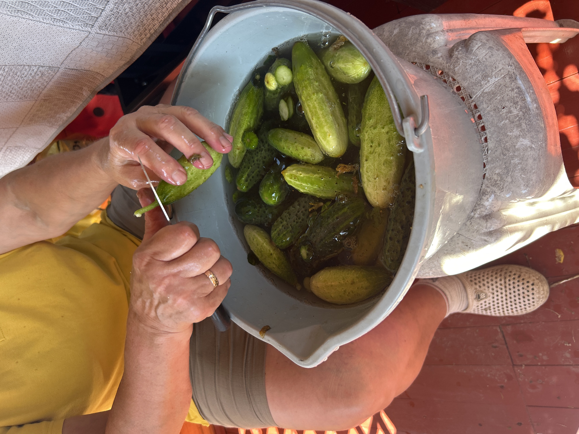 In a sunlit outdoor setting, likely a backyard or patio, a person wearing a yellow t-shirt and brown shorts is preparing cucumbers. Their hands, visibly wet, are holding a knife and a cucumber, with the action suggesting the trimming or slicing of the vegetable. A large, light gray plastic bucket filled with water and numerous cucumbers is positioned in front of the person, indicating the process of pickling or preserving the cucumbers. The environment shows a wooden floor painted red, and a white patterned tablecloth is visible in the background. The person is also wearing white socks and beige perforated shoes. There are no discernible landmarks specific to the city of Kalitsino, Russia, in the provided image.