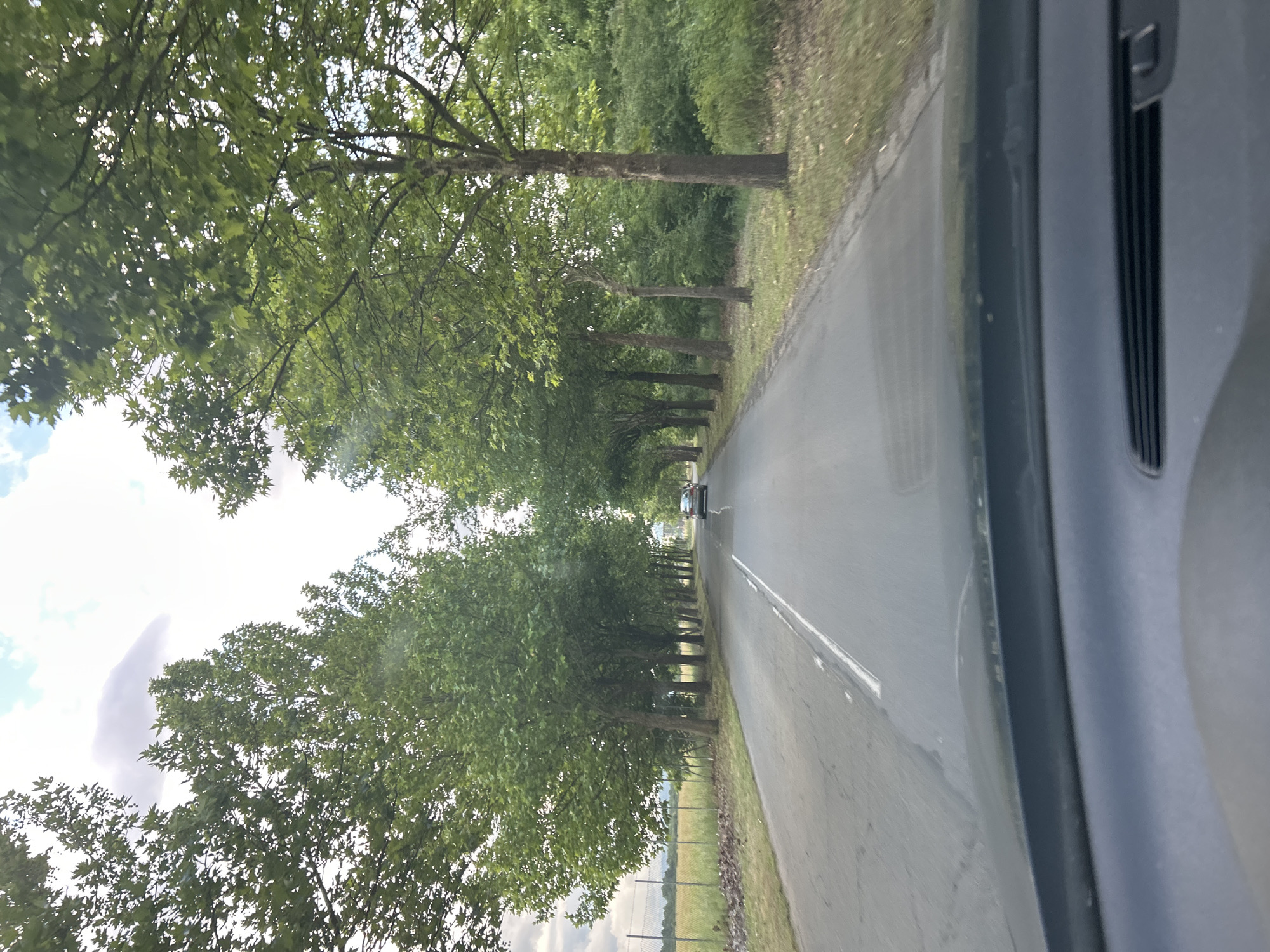 The image captures a perspective from inside a moving vehicle, looking forward down a scenic, tree-lined road in Kazanlak, Bulgaria. The asphalt road stretches into the distance, marked by a faded white broken line in its center. On both sides, a dense canopy of lush green deciduous trees forms a natural avenue, their branches extending overhead and creating a tunnel-like effect. The trees appear mature, with thick trunks and abundant foliage, suggesting a summer or late spring setting.
Beyond the trees, grassy verges flank the roadside. On the left side of the road, a chain-link fence separates the immediate roadside from what appears to be open fields or agricultural land in the background, with distant hills or structures faintly visible under a partly cloudy sky. The sky, visible through gaps in the tree canopy and above the distant landscape, shows patches of blue with some soft white clouds.
In the far distance along the road, a light-colored car, possibly white or silver, is visible, driving away from the viewer. On the right side of the frame, parts of the vehicle's dark grey interior are visible, including what appears to be a section of the dashboard or door panel and an air vent, confirming the point of view from within a car.
The scene depicts a calm daytime journey, likely during late morning or early afternoon given the bright, natural light. The overall mood is peaceful and verdant. No specific people or discernible text are visible in the image.