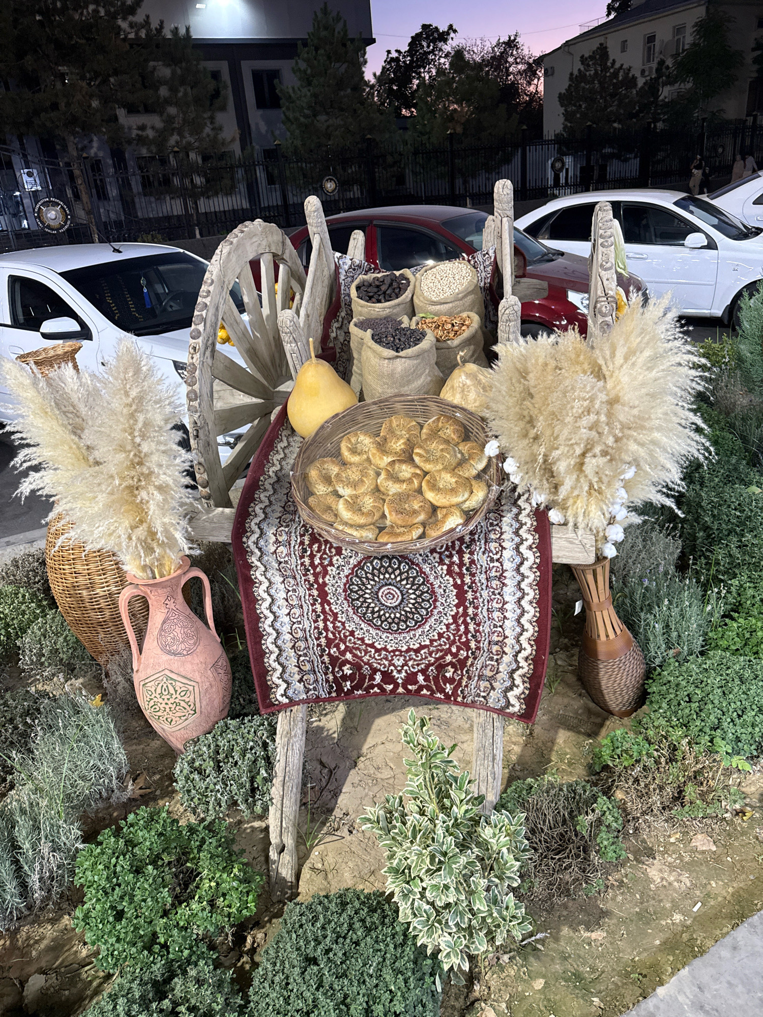In the city of Tashkent, Uzbekistan, an outdoor display features a rustic wooden cart filled with various items. The cart, made from weathered wood, includes a large wooden wheel and is adorned with a patterned rug in red and white. On the rug, a woven basket holds numerous small, round bread rolls, possibly sprinkled with seeds. Nearby, a light-yellow pear and several burlap sacks filled with dried goods, such as dark berries and lighter-colored beans or nuts, are arranged.
Complementing the cart's rustic aesthetic are several decorative elements: a tall, woven vase holding large, feathery dried grasses and another, smaller woven vase. A decorative pink ceramic jug with ornate patterns sits to the left of the cart. The display is surrounded by lush greenery, including what appears to be lavender and other small shrubs. In the background, cars are parked, and buildings and trees are visible, suggesting an urban setting, possibly near a restaurant or public space. The sky above shows a twilight hue, indicating the time is around dusk.