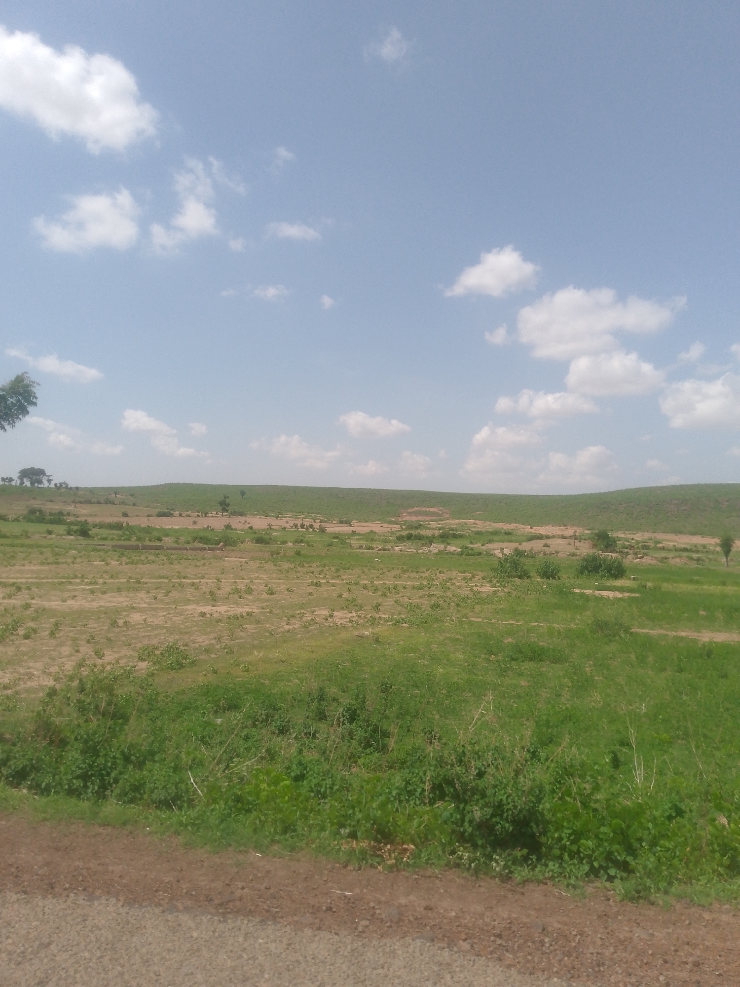 The image displays an expansive rural landscape in Chabal, Nigeria, under a bright, partly cloudy sky. The sky, occupying the upper portion of the frame, is a clear light blue with scattered, distinct white cumulus clouds. The horizon reveals a series of gently rolling hills covered predominantly in green vegetation, indicating a distant treeline or dense foliage.
The midground is characterized by vast, open terrain appearing to be agricultural land. This area shows a mosaic of light brown, dry soil interspersed with irregular patches of vibrant green ground cover and low-lying bushes. Individual small trees or larger bushes are sparsely distributed across this field. No distinct structures or human activity are visible within the cultivated areas.
In the immediate foreground, a dark brown, gravelly or unpaved road or track runs horizontally, partially obscured by a dense strip of bright green foliage, consistent with wild grasses and bushes, that borders the field. No people, vehicles, or animals are present in the scene. The overall environment suggests an open, natural, or semi-cultivated area under daylight conditions.