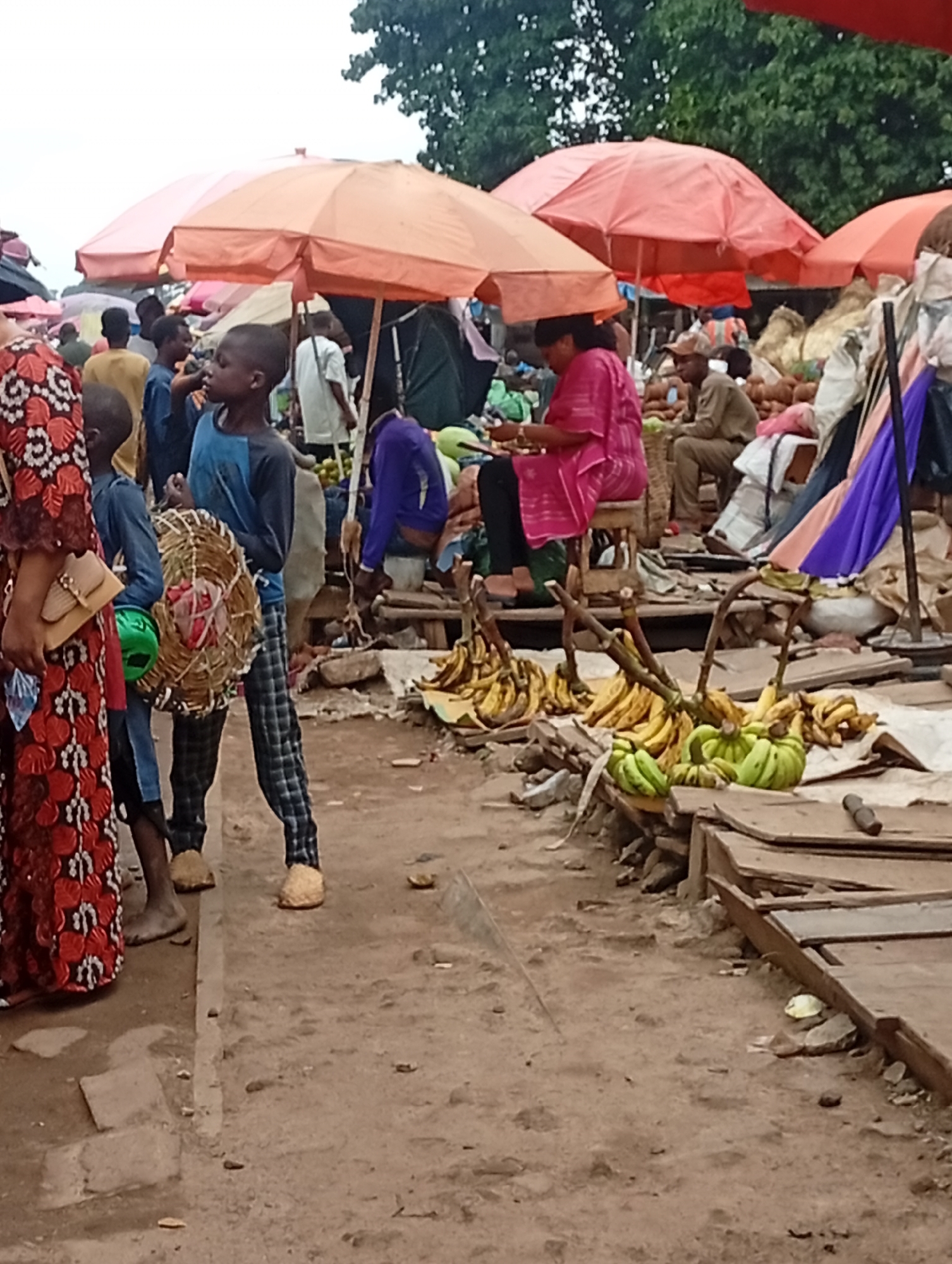 The image captures a vibrant, bustling outdoor market scene in Tudun Nupawa, Nigeria, under what appears to be an overcast daytime sky. The ground is unpaved dirt, and various makeshift stalls with wooden structures are visible.
Several people are present, engaged in different activities. In the foreground, a woman in a long, red patterned dress stands on the left. Beside her, a young boy in a blue shirt and plaid trousers carries a large, circular woven basket or tray, along with a green bowl. Another barefoot boy in a blue shirt stands nearby.
In the midground, a woman in a bright pink outfit is seated on a small wooden stool, seemingly sorting or attending to goods. Nearby, a man in a light brown uniform is also seated. Large bunches of green and ripe yellow bananas are displayed on the ground and on low wooden platforms, forming a significant part of the market’s offerings.
The background is filled with more market activity, characterized by numerous large, reddish-orange umbrellas providing shade over various vendors and customers. Behind the umbrellas, lush green foliage suggests the presence of trees. The atmosphere appears busy and lively, typical of a local market. No discernible text is visible in the image.
