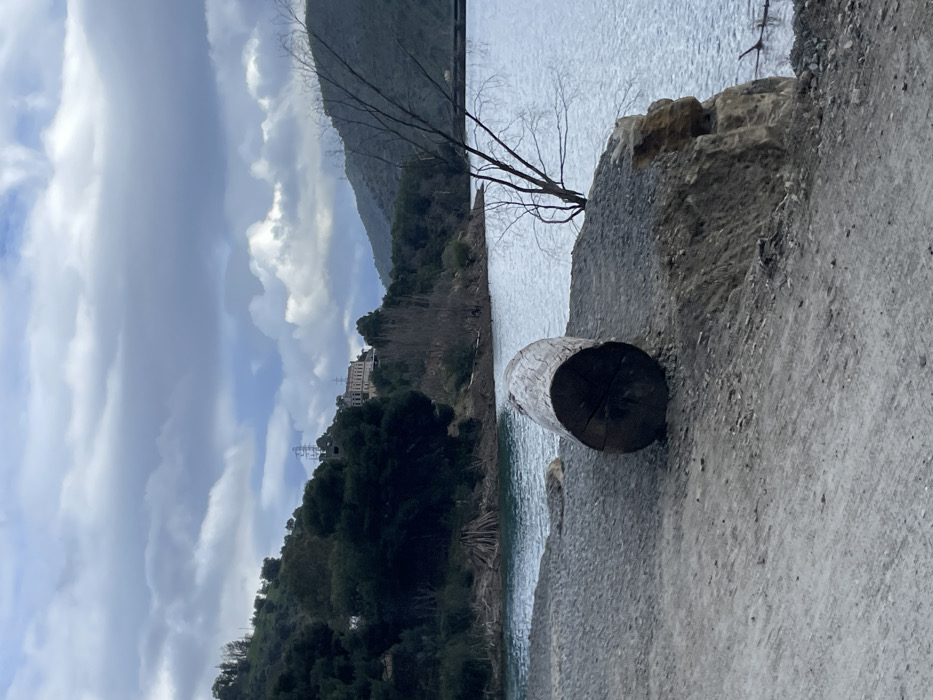 The image presents a serene natural landscape, primarily featuring a large body of water, likely a reservoir or lake, bordered by a rocky or gravel path and sloping hills. The perspective looks across the water towards the opposite shore and the distant mountains.
In the foreground, a prominent, cut log rests horizontally on a textured bank of gravel and soil next to the water. The end of the log, displaying its tree rings, faces the viewer. Beside it, a bare-branched tree extends from the embankment over the water. The water itself appears a muted blue-gray with ripples on its surface, reflecting the cloudy sky.
The mid-ground and background are dominated by a series of hills and mountains covered in varying densities of green foliage, mostly dark trees and bushes. Higher up the slopes, the vegetation thins, revealing rocky patches. On a distant hilltop, a large, light-colored building with a dark roof stands out, possibly a hotel or a significant structure. Below it, on the hillside, an electrical pylon or transmission tower is visible.
The sky above is filled with soft, voluminous clouds, ranging from bright white to light gray, indicating a partly cloudy or overcast day with diffuse lighting. No individuals are present, and there is no activity occurring in the scene, which captures a tranquil, expansive view of nature. The provided context indicates the location is El Chorro, Spain, aligning with the mountainous and reservoir environment depicted. No visible text is present in the image.