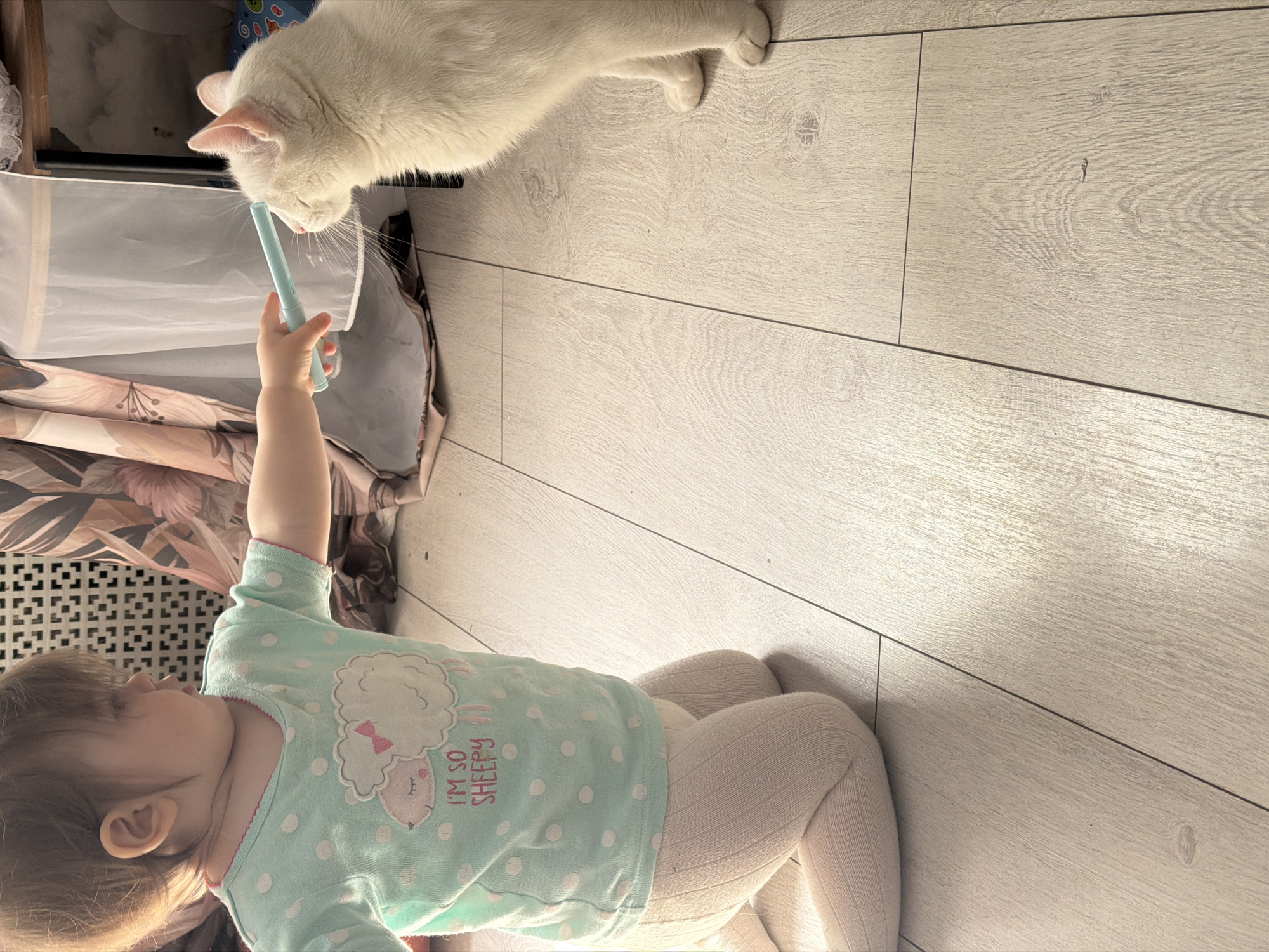 A toddler is kneeling on a light wood-grain floor, extending their right arm upward to interact with a white cat. The toddler is wearing a light blue shirt with white polka dots and a sheep graphic, and cream-colored tights. The cat is leaning down toward the toddler, appearing to sniff or interact with a light blue object in the toddler's hand. The setting appears to be indoors, with a laundry basket or similar container visible on the left, partially obscured by a floral-patterned curtain or fabric. The city of Staraya, Russia, is not discernible in the image.