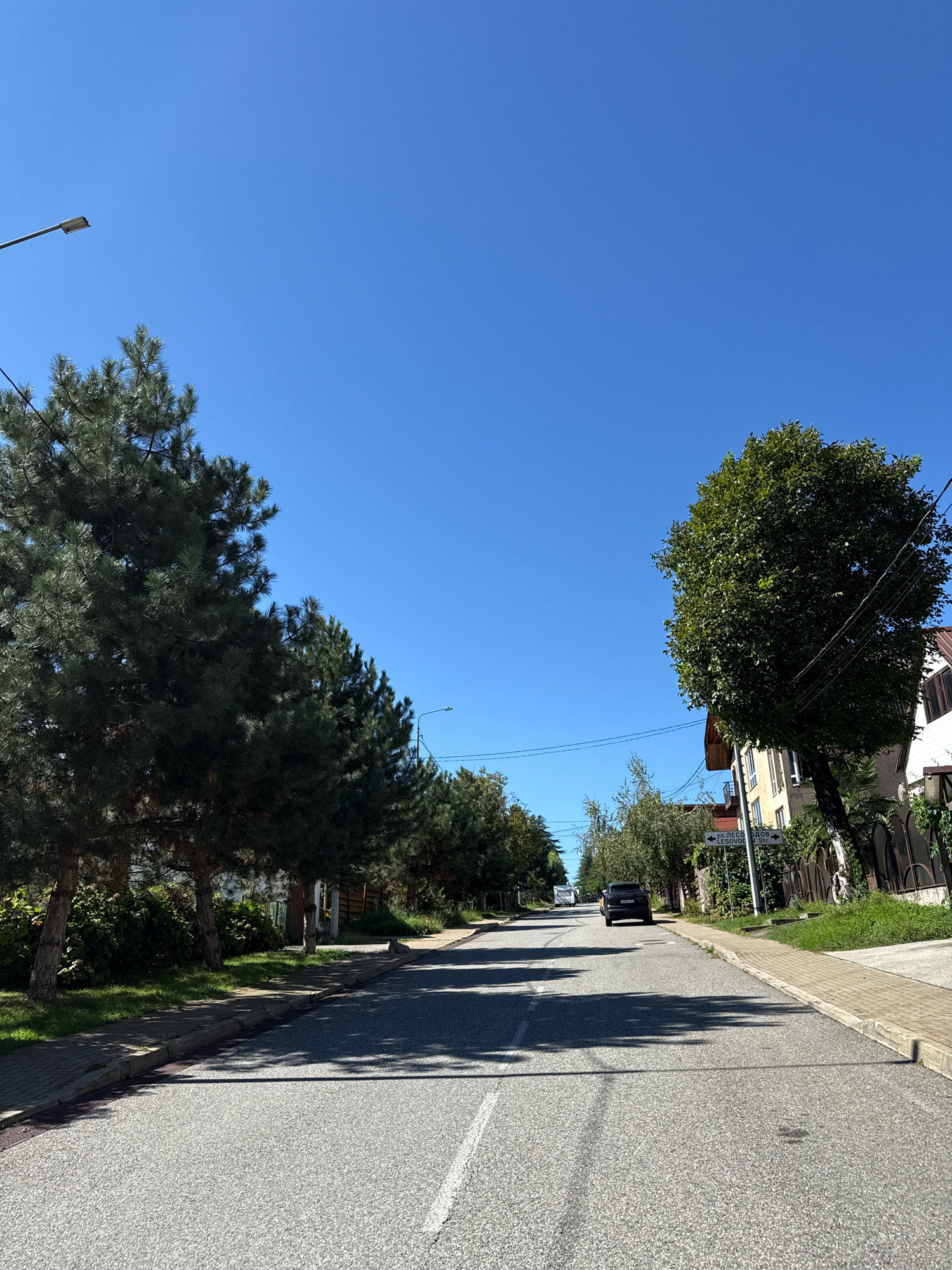 The image depicts a sun-drenched residential street in Krasnaya Polyana, Russia, under a clear blue sky. Tall evergreen trees line the left side of the road, their dark green foliage casting dappled shadows across the asphalt. On the right, a mature deciduous tree with lush green leaves dominates, its branches reaching towards the sky, obscuring some of the houses behind it.
The street itself is paved and has white dividing lines. A few vehicles are visible, including a dark SUV parked further down the road and what appears to be a white bus in the distance. There are also streetlights and power lines visible, indicating a developed area. The houses on the right are varied in style, with one prominently featuring a brown-tiled roof and white siding, bordered by a dark fence and green foliage. The presence of well-maintained sidewalks and landscaping suggests a peaceful, established neighborhood.
A street sign is visible on the right side of the road with text that reads "ул. ЛЕСОВОДОВ" and "LESOVO DSR". The bright sunlight and long shadows indicate it is likely midday or early afternoon. The overall atmosphere is serene and calm, with no discernible activity or people in the frame, suggesting a quiet moment in this Russian town.