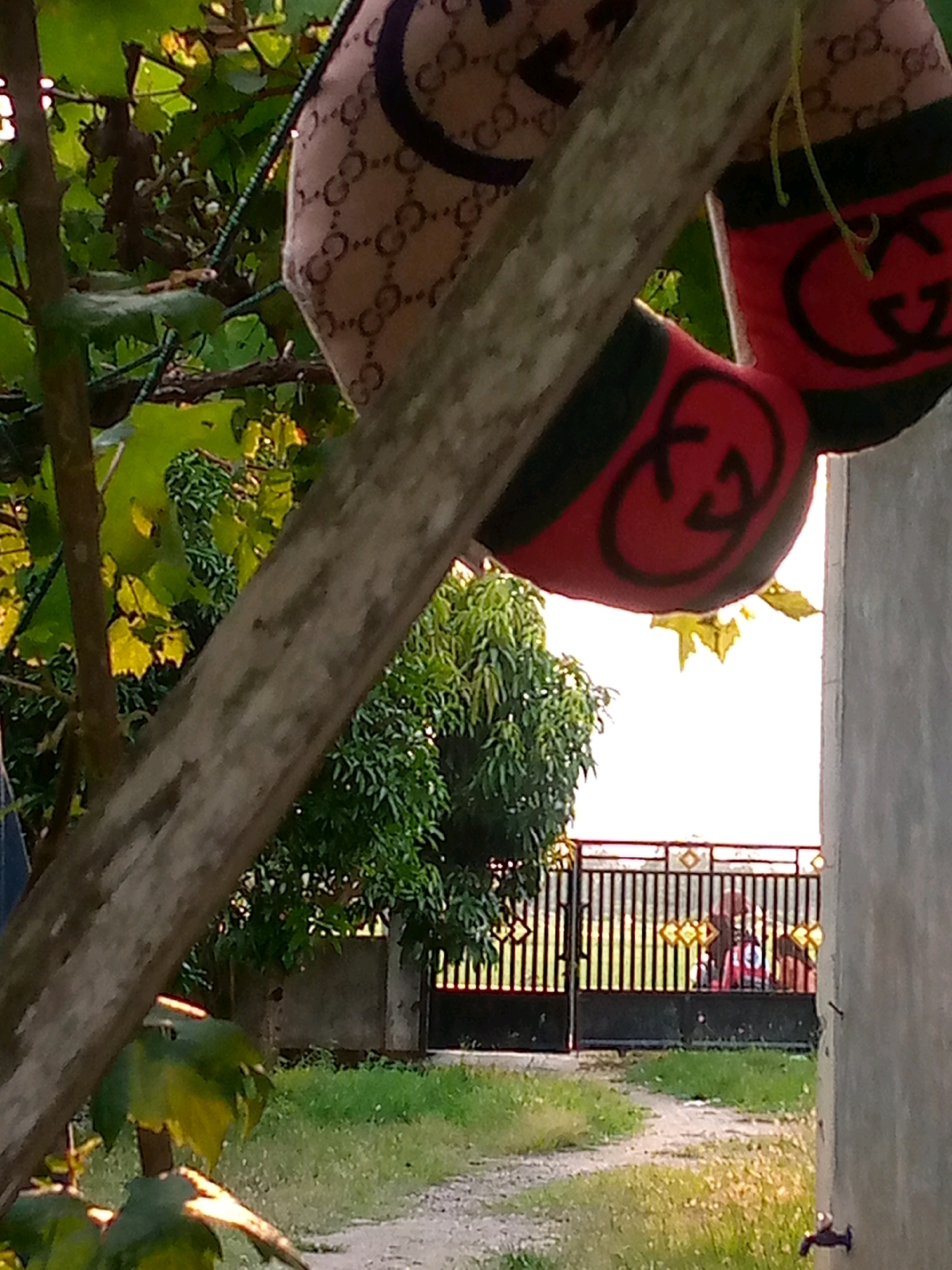 The image shows an outdoor scene in Kutaglumpang, Indonesia. In the foreground, a diagonal tree trunk partially obscures the view. Above the trunk, a patterned fabric, likely a bag or clothing, with a repeating "GG" logo in a brown hue is visible, along with a red and black striped band featuring the same "GG" logo. Green foliage and leaves are present in the background, with sunlight filtering through. Further back, a black metal gate with decorative diamond patterns is visible, and beyond the gate, a concrete wall and a suggestion of a building can be seen. The ground is covered with grass and a dirt path.