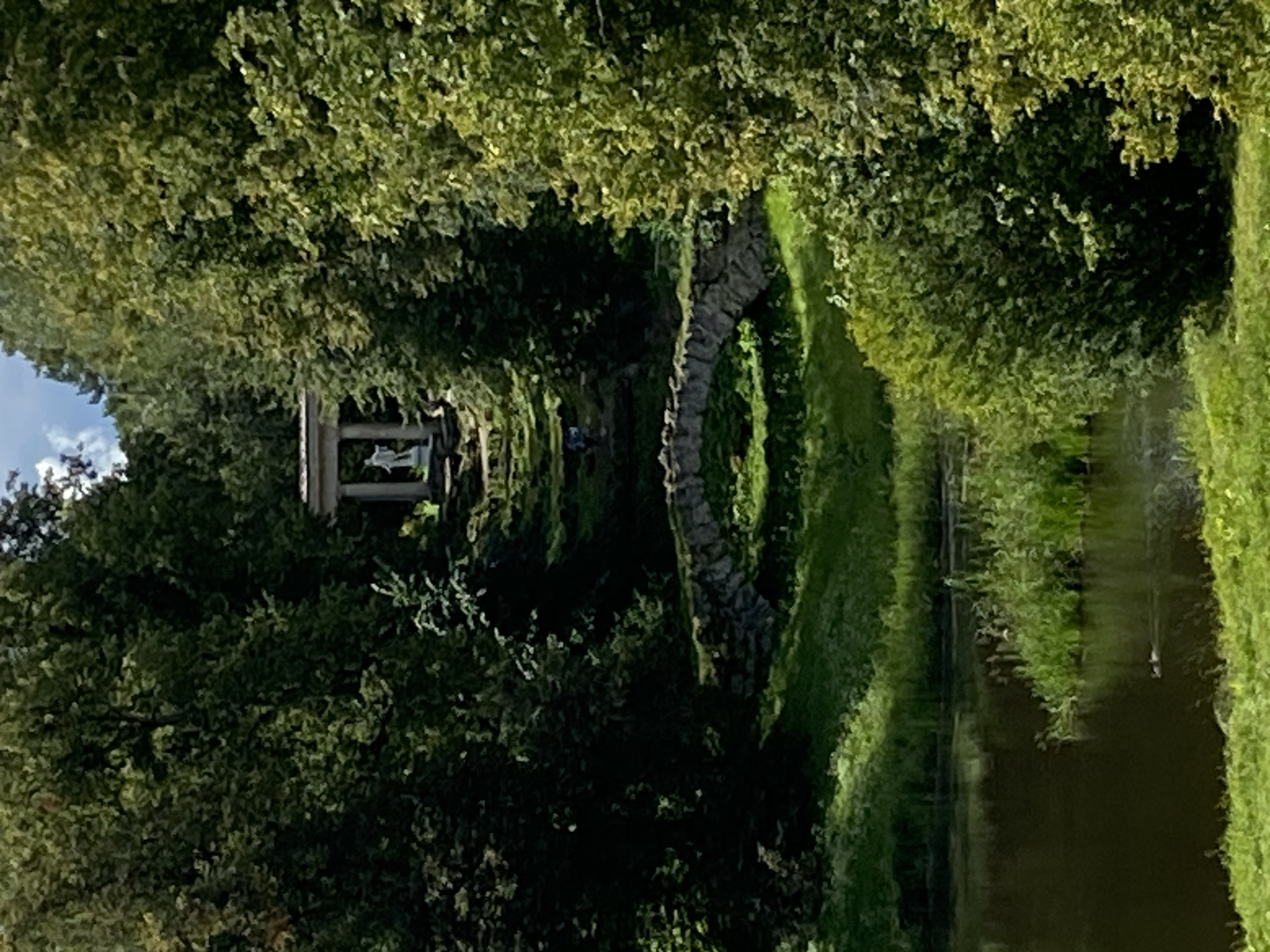 The image depicts a lush, green landscape with a body of water in the foreground and a stone bridge arching over a small stream in the mid-ground. Behind the bridge, a stone staircase ascends a grassy incline, leading to a classical structure with columns and a statue at the top. The entire scene is framed by dense foliage from numerous trees. The location is the Pavlovsk Park in Pavlovsk, Russia, specifically the area featuring the Monument to the Founders and the cascade stairs. The sky is partly cloudy, and the sunlight illuminates the scene, creating a serene and picturesque atmosphere. There are no visible people or animals in the image.