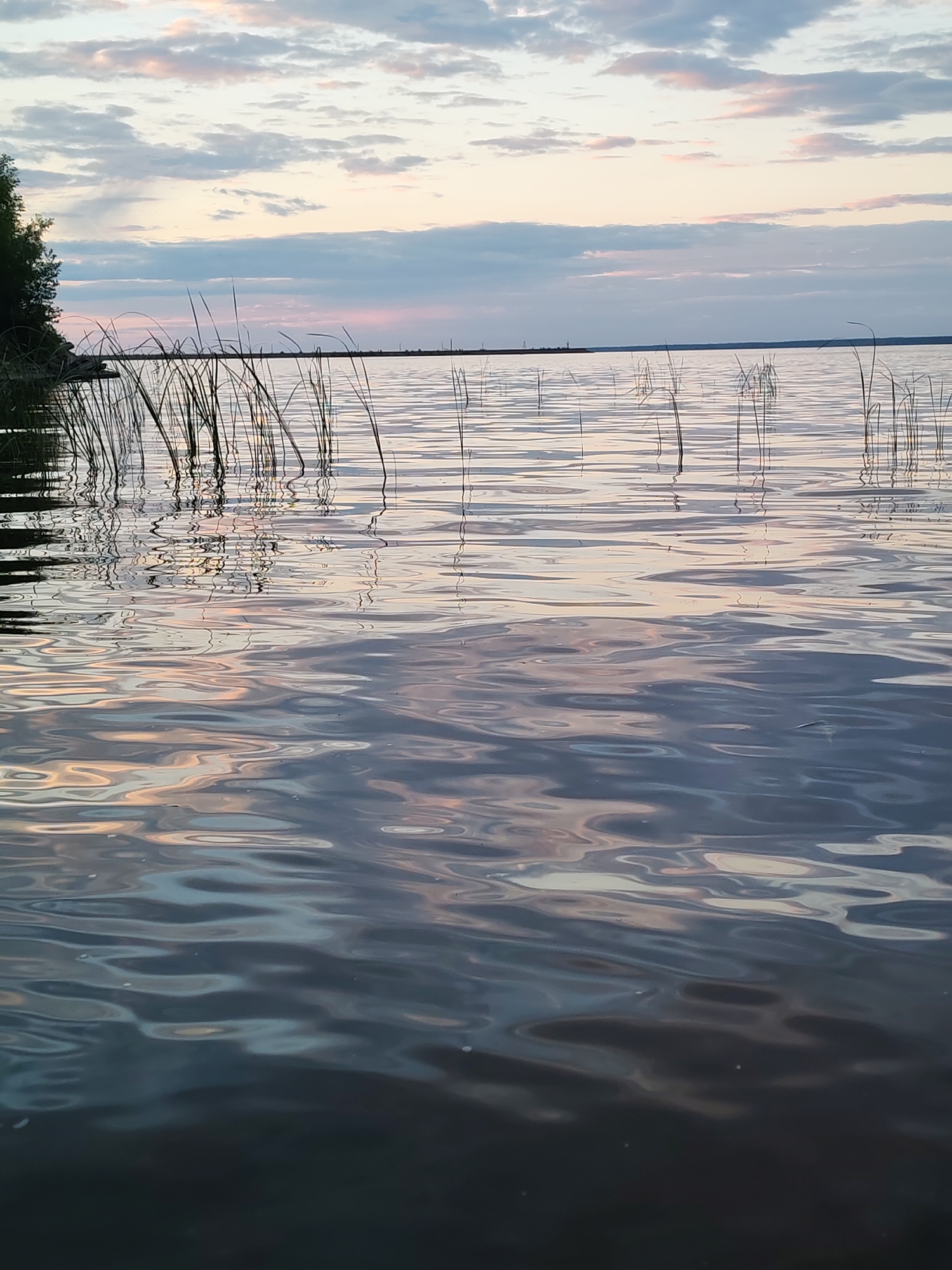 The image depicts a serene natural scene at sunset or sunrise, likely near a body of water such as the Kama River reservoir in Chaikovsky, Russia. The foreground is dominated by the rippling surface of dark water, reflecting the soft hues of the sky. Tall, slender reeds or grasses emerge from the water along the left edge, casting subtle reflections. In the background, the sky is a blend of soft pinks, oranges, and blues, with scattered clouds. The horizon line is low, emphasizing the expanse of the sky and water. The overall impression is one of tranquility and natural beauty, devoid of any human presence or man-made structures, except for a faint structure on the far horizon.