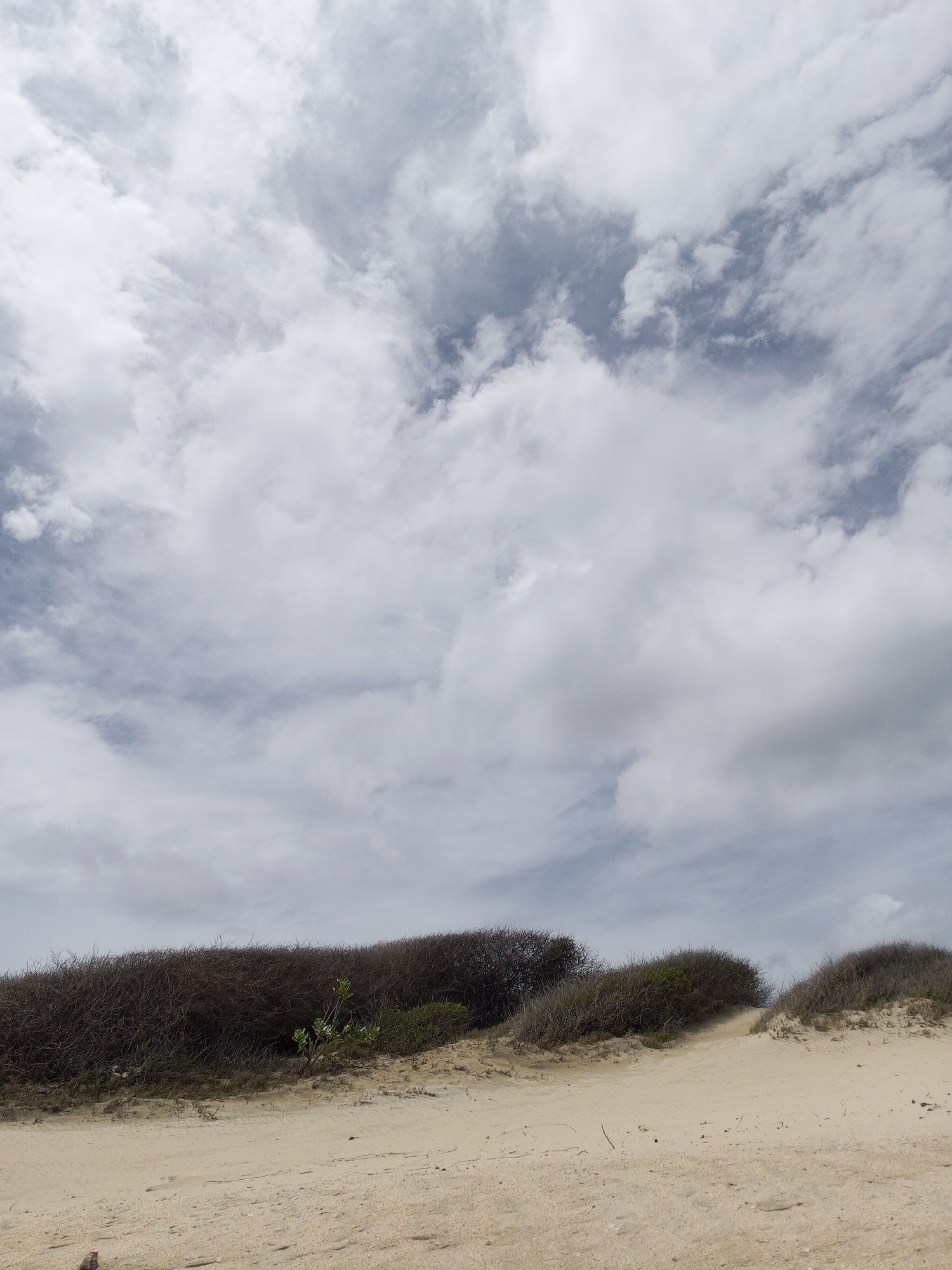 The image depicts a beach scene in Altagracia, Venezuela. The foreground consists of a sandy area, likely a beach or dune. Low-lying shrubs and vegetation cover the sandy mounds, creating a somewhat barren landscape. The sky is filled with clouds, ranging from light and wispy to darker and more dense formations.