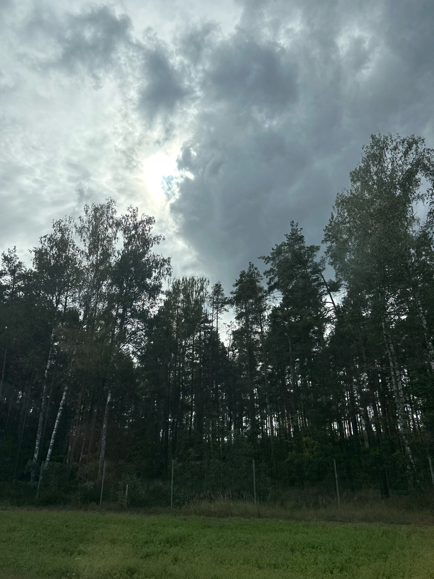 The image depicts a dense forest bordering a grassy area, under a cloudy sky with the sun partially visible through the clouds. The trees are a mix of deciduous and coniferous species, with some appearing to be birch due to their white bark. There is a wire fence visible in the lower part of the image, separating the grass from the forest. The overall atmosphere is moody and somewhat overcast. The location is identified as Lapitski Sel'ski Sovet, Belarus.