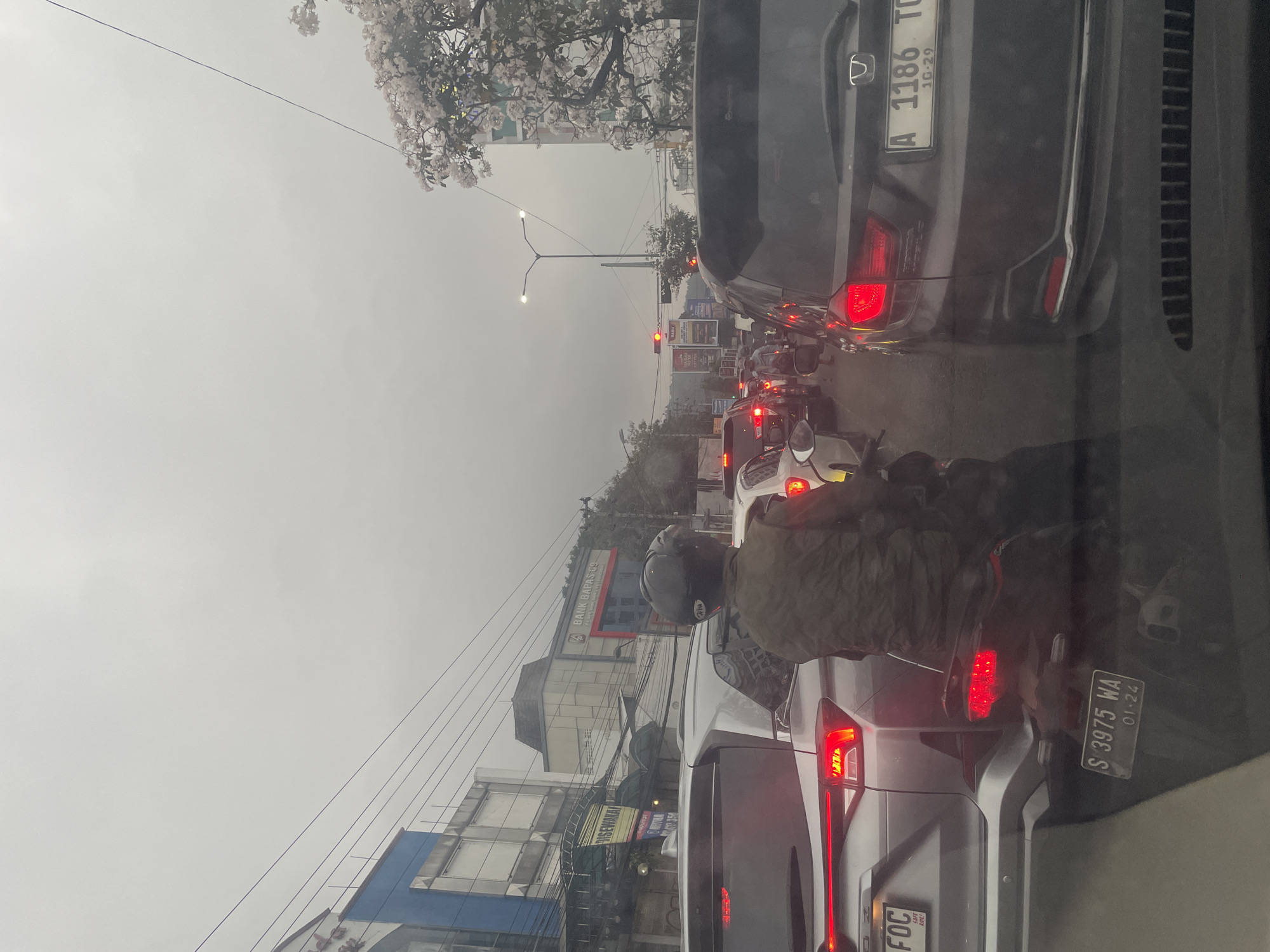 A high-angle, medium shot captures a congested street scene in Sumberrejo, Indonesia, under an overcast sky. The foreground is dominated by the rear of a dark gray SUV, with its brake lights illuminated, and partially visible on the left is the back of a silver SUV. A motorcyclist wearing a helmet and a green vest is positioned between these vehicles, facing away from the camera. In the mid-ground, various cars and motorcycles form a traffic jam. Buildings line the street, including one with signage for "BANK BAPAS 69". A traffic light shows red. In the background, trees, some with white blossoms, are visible, and the sky is a uniform gray. The overall impression is one of heavy traffic and urban setting.