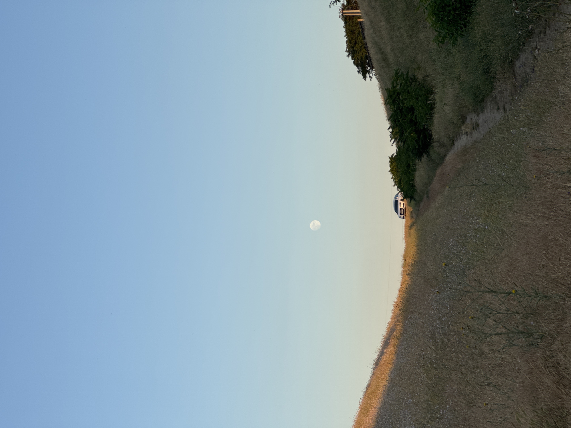 The image captures a serene, natural landscape under a clear sky. In the distance, a bright full moon is visible. The foreground is dominated by rolling hills covered in dry, tall grass, interspersed with a few scattered wildflowers. A dirt path winds its way up the hill. On the crest of the hill, a white car is parked, facing the viewer. To the right of the path, dense green bushes grow along the hillside. The overall impression is one of a tranquil, undeveloped rural environment. The location is identified as Mizhlymanske, Ukraine.