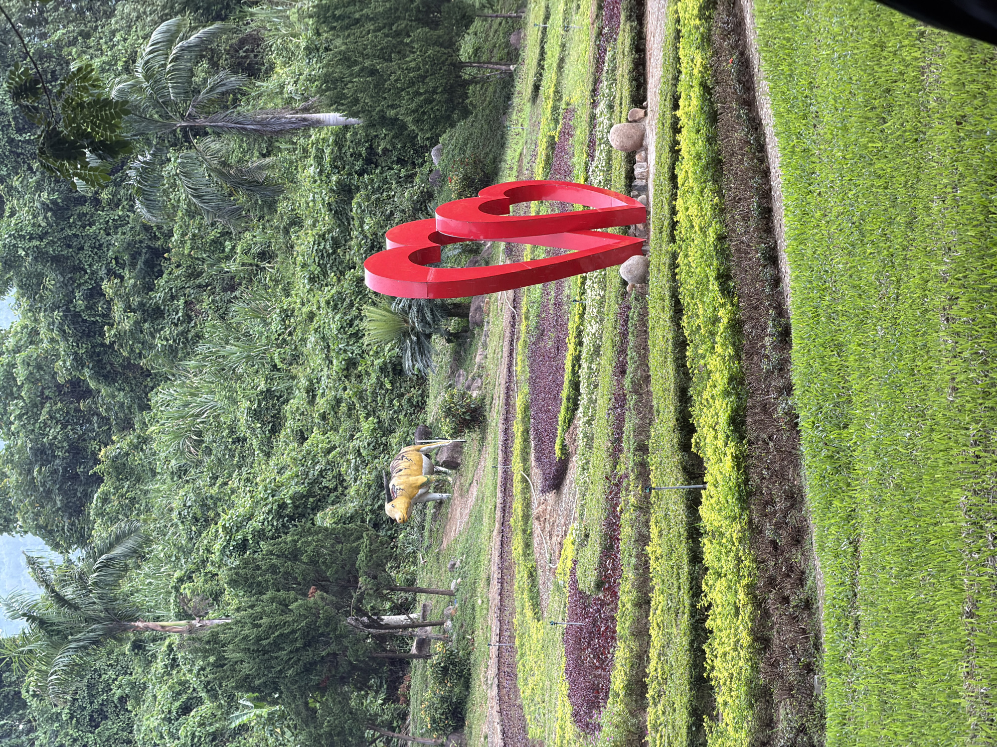 The image depicts a landscaped park in Khánh Vĩnh, Vietnam. In the foreground, a neatly mown green lawn leads to a series of terraced garden beds. These beds are planted with contrasting rows of green, yellow, and purple foliage. A prominent red sculpture of two intertwined hearts stands in the mid-ground, resting on a bed of small stones. To the left and slightly behind the sculpture, a pathway winds through the garden beds. In the upper left portion of the mid-ground, a weathered statue of a yellow and white cow stands on a grassy incline. The background is dominated by a dense, lush green hillside covered in various types of trees and foliage, with a hint of palm trees visible. The sky is overcast and the lighting is soft, suggesting a cloudy day. There are no people visible in the image.