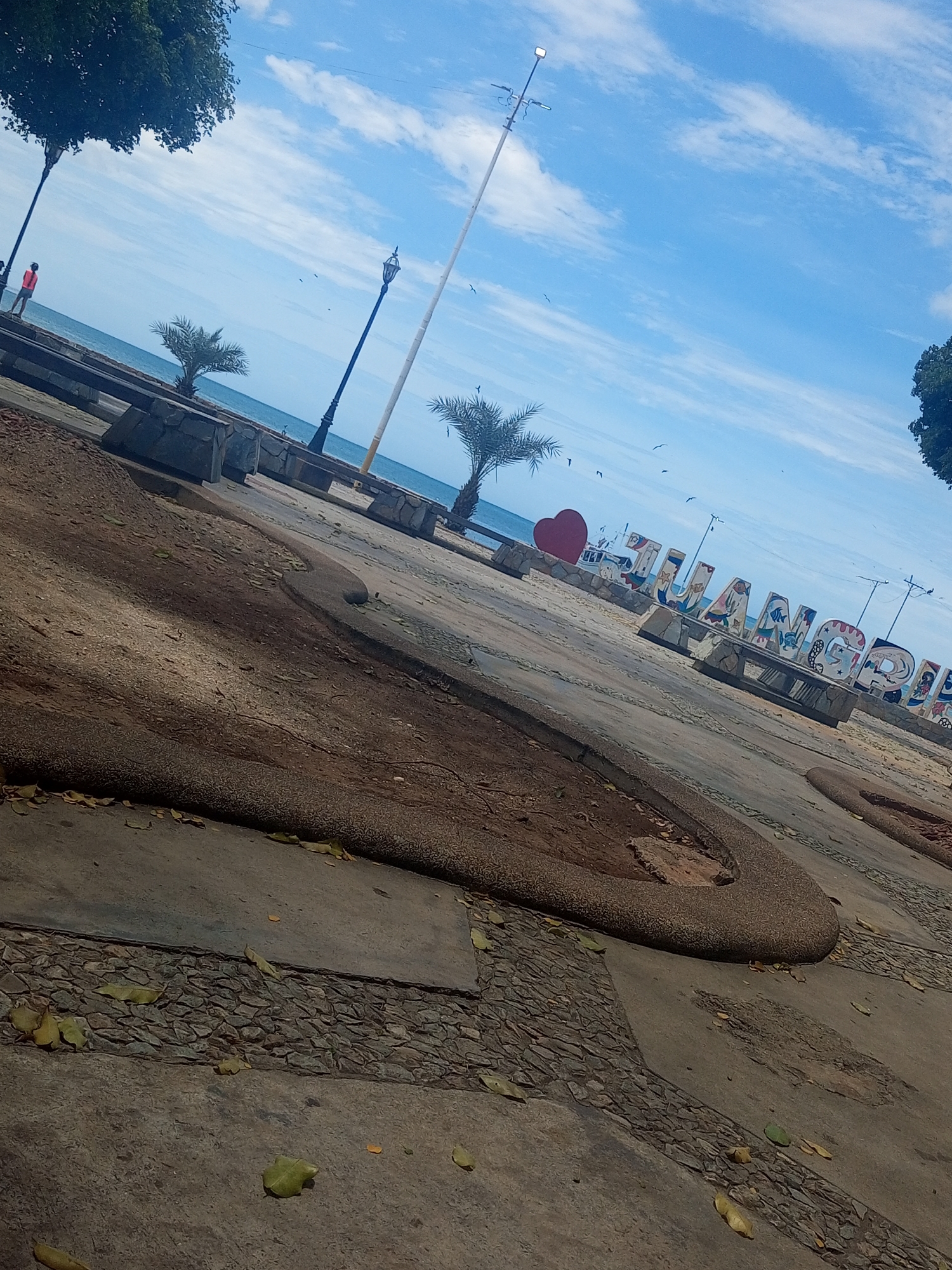 The image shows a tilted, ground-level view in Juan Griego, Venezuela, featuring a concrete and stone-paved plaza near the coast. The foreground is composed of irregularly shaped concrete slabs separated by narrow strips of small stones. Scattered leaves are present on the ground.
In the midground, there are curved, raised garden beds. Beyond these beds, a low wall separates the plaza from the coastline. Palm trees and lampposts are visible along the wall. A person in a red shirt stands near the leftmost lamppost. The "JUAN GRIEGO" sign, with a red heart, can be seen in the background with the ocean and sky behind it. Several birds fly in the sky.
