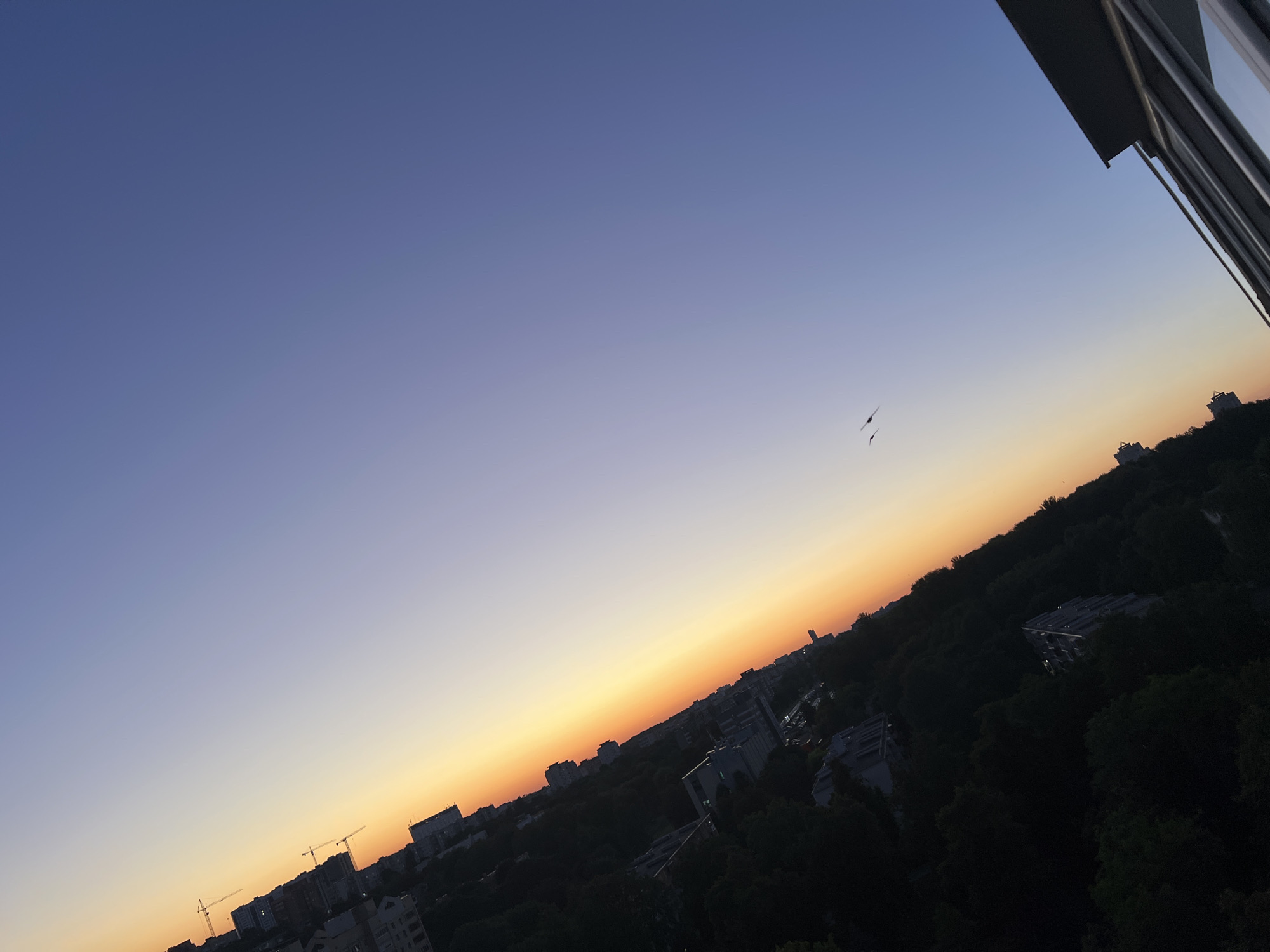 The image depicts a city skyline at sunset, tilted at an angle, as viewed from a building in Minsk, Belarus. The sky transitions from a deep blue at the top to a soft orange and yellow gradient near the horizon. Silhouetted against the colorful sky are several buildings, some appearing to be apartment complexes, and construction cranes. A dense line of trees forms a dark band across the mid-ground, obscuring the lower parts of the city. In the upper portion of the sky, two small, dark objects, likely birds, are visible. The foreground shows a portion of a building's exterior, including window frames and a partial roofline, suggesting the viewpoint is from a high-rise window or balcony.