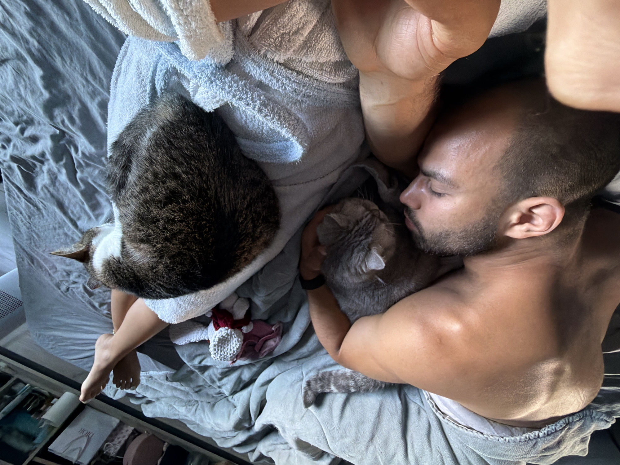 The image depicts a close-up, overhead view of two cats and a person lying on a bed. The person, appearing to be male, is shirtless and sleeping, with his eyes closed and head resting on a pillow. He has short, dark hair and a beard. One cat, a tabby, is curled up on the person's legs, partially covered by a light blue towel. Another cat, a grey tabby, is nestled against the person's chest, being held gently.
The scene appears to be indoors, likely a bedroom, with a grey, wrinkled duvet covering the bed. A white towel is draped over the person and the cats. A small, knitted item, possibly a toy, in white and red is visible near the tabby cat. The lighting suggests it could be daytime, with sunlight casting some shadows. The overall atmosphere conveys a sense of comfort and peaceful coexistence between the person and the animals.
In the bottom left corner, a drawer or shelf is visible, containing various items including what appears to be a Dior shopping bag. The location context is Burgas, Bulgaria, though no specific visual cues within the image confirm this. The focus is on the intimate moment of rest shared by the subjects.