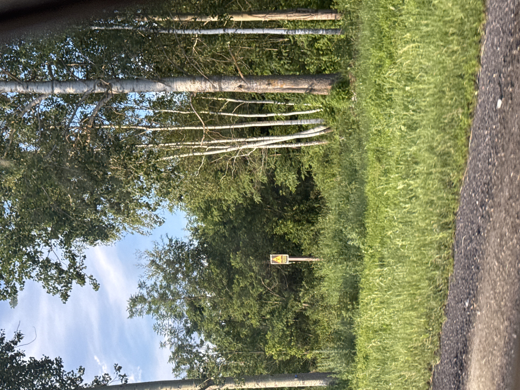 A yellow and black triangular warning sign is visible on a wooden post in a grassy area. The sign appears to depict a radiation symbol. The sign is surrounded by lush green foliage, including trees and tall grass. The sky is partly cloudy and blue. The scene is set in a natural environment, likely a rural area, possibly near Акцябрскі сельскі Савет, Belarus.