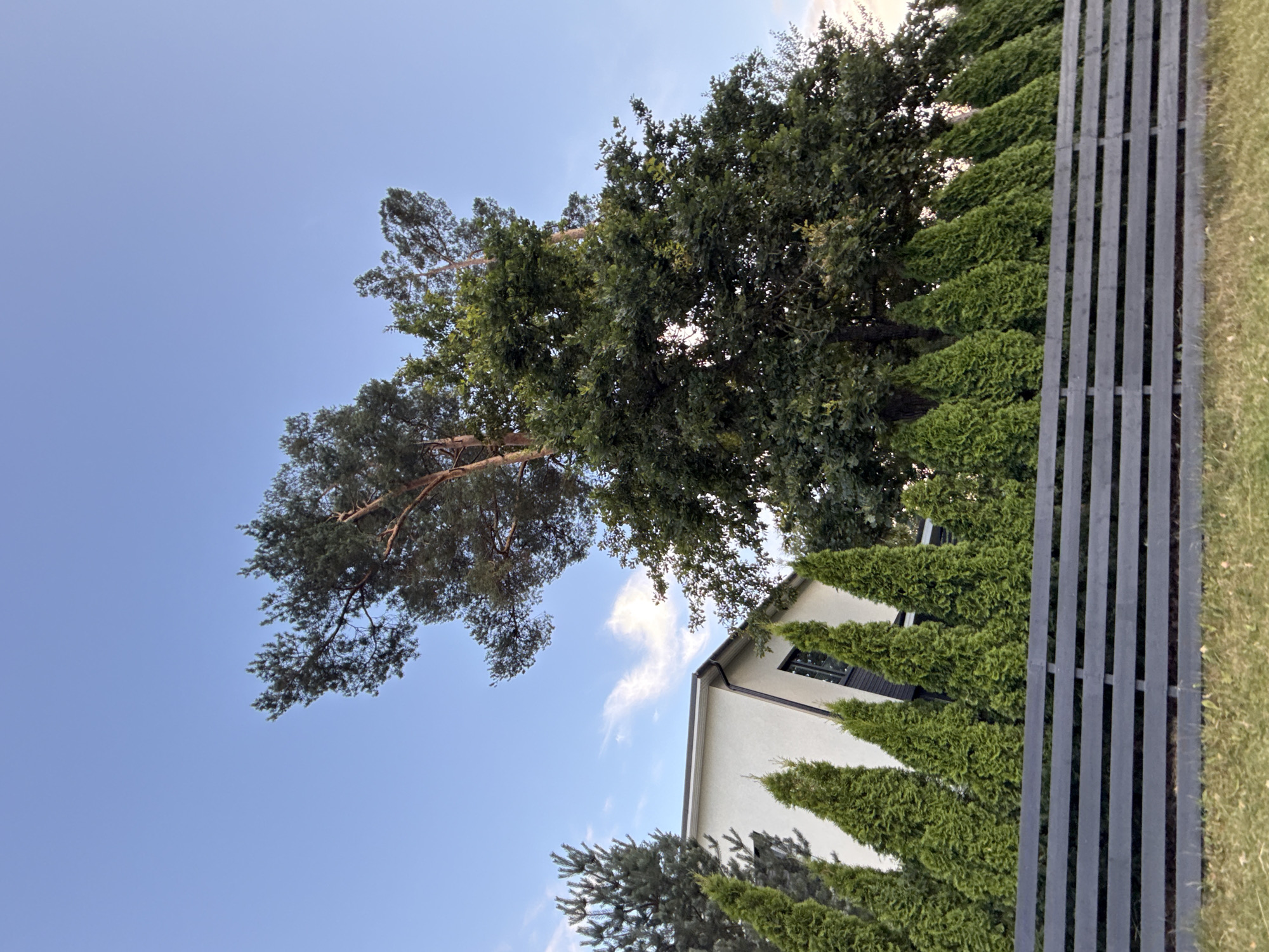 The image depicts a residential property in Uuesalu, Estonia, featuring a modern white house with a dark roof and a large black fence in the foreground. The fence is constructed of horizontal wooden planks. Behind the fence, a row of conical evergreen trees lines the property, with a large deciduous tree and a tall pine tree towering over them. The sky is a clear blue with a few wispy clouds, suggesting it is daytime. The overall scene is a clear and well-maintained outdoor environment.