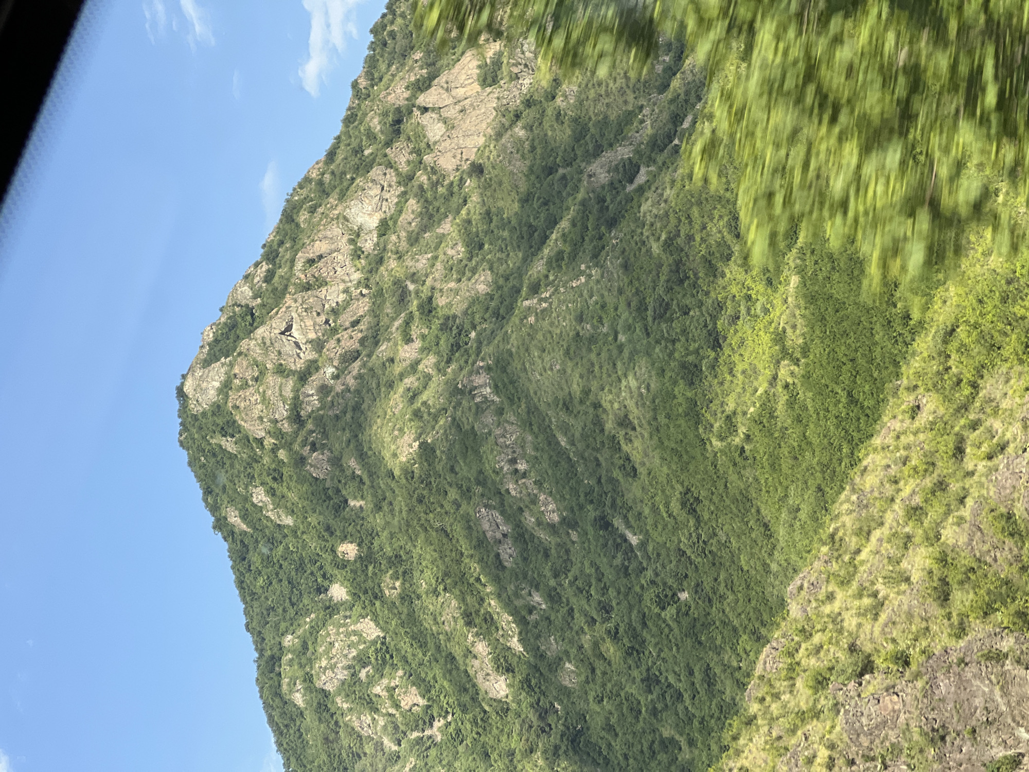 The image depicts a large, verdant mountain peak under a clear blue sky with a few wispy clouds. The mountain is covered in dense green foliage, with rocky outcrops and sheer cliffs visible on its upper slopes. In the foreground, the lower slopes of the mountain are also covered in vegetation, with some drier, more rugged terrain. The image has a slight motion blur, particularly on the right side, suggesting it was taken from a moving vehicle. The scene is consistent with the mountainous terrain surrounding the city of Alaverdi, Armenia, known for its lush green landscapes and rugged topography. There are no people or specific objects of interest visible in the frame, apart from the natural environment.