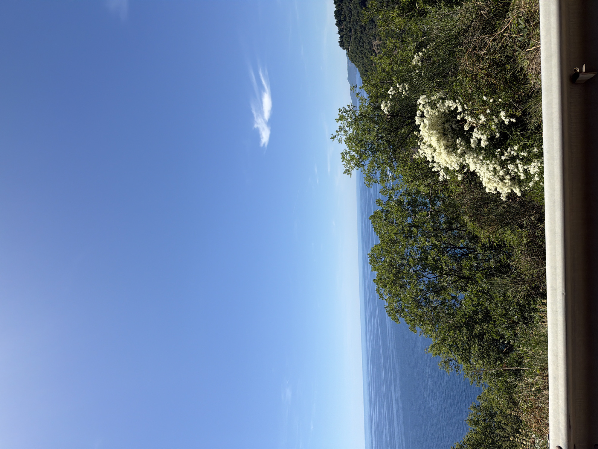 The image depicts a serene natural landscape from a high vantage point, overlooking the Adriatic Sea. The sky is a clear, vibrant blue with a few wispy white clouds. The sea is a deep, tranquil blue, stretching out to meet the horizon. In the foreground, lush green trees and bushes dominate, with a striking cluster of white wildflowers adding a touch of contrast. A light-colored guardrail is visible along the bottom of the frame, suggesting a road or elevated pathway. The terrain slopes downwards towards the sea, with rolling, tree-covered hills visible in the distance along the coastline. The scene appears peaceful and bathed in natural sunlight, indicative of a daytime setting. The specific location is identified as Gornji Katun, Montenegro. There are no people or animals visible in the image.