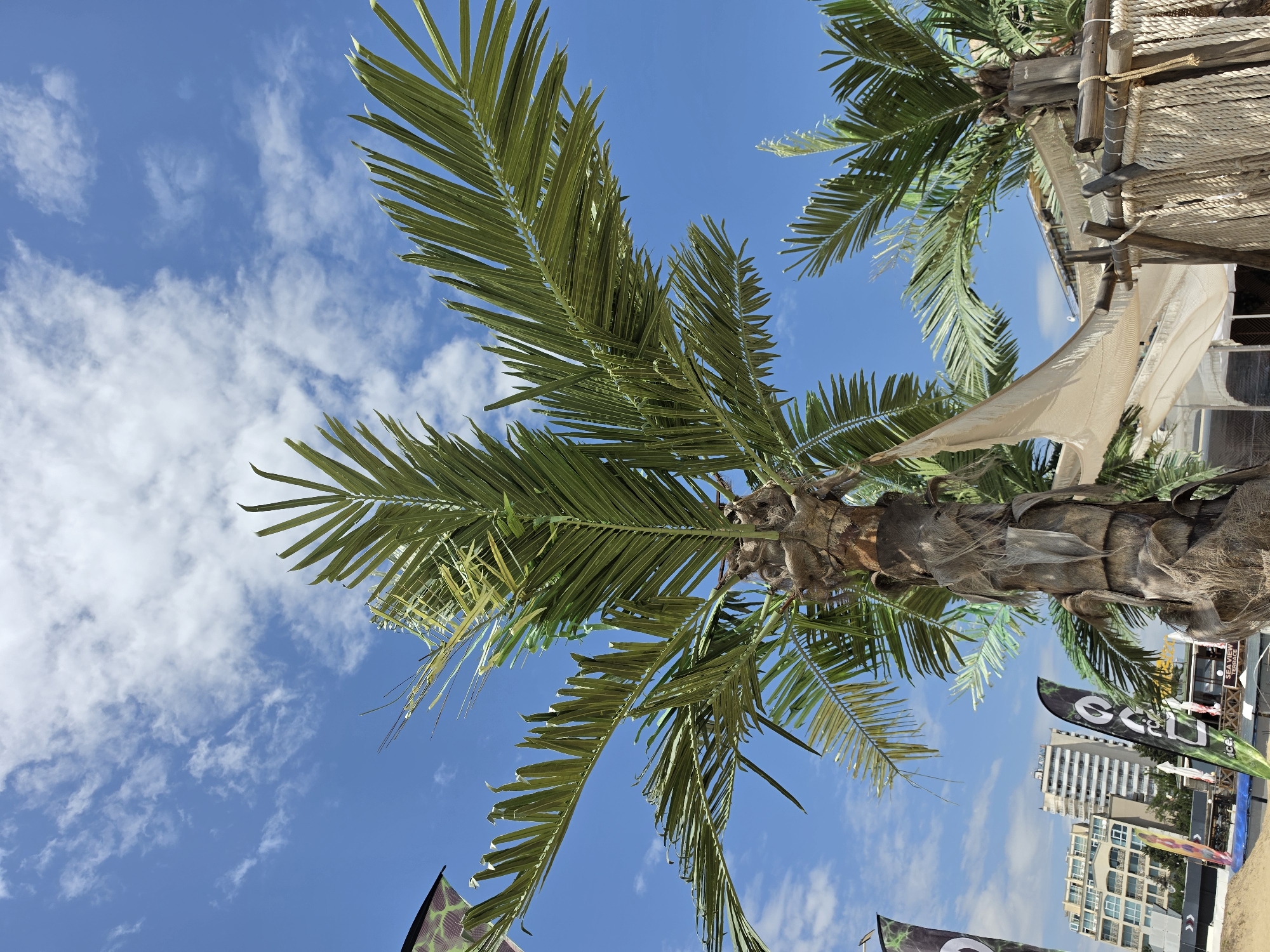 The image depicts a close-up view of a palm tree's trunk and fronds against a bright blue sky with scattered white clouds. In the background, several flags are visible, one of which has the text "ICE" and "SEA VIEW TERRACE". Beyond the flags, a modern multi-story building with balconies stands, indicating an urban or resort setting. To the right, part of a beachfront structure with a thatched roof and rope detailing is visible, suggesting a recreational area. The scene is consistent with a sunny day at a coastal location in Nesebar, Bulgaria, likely a beach club or a similar establishment. There are no people visible in the frame.