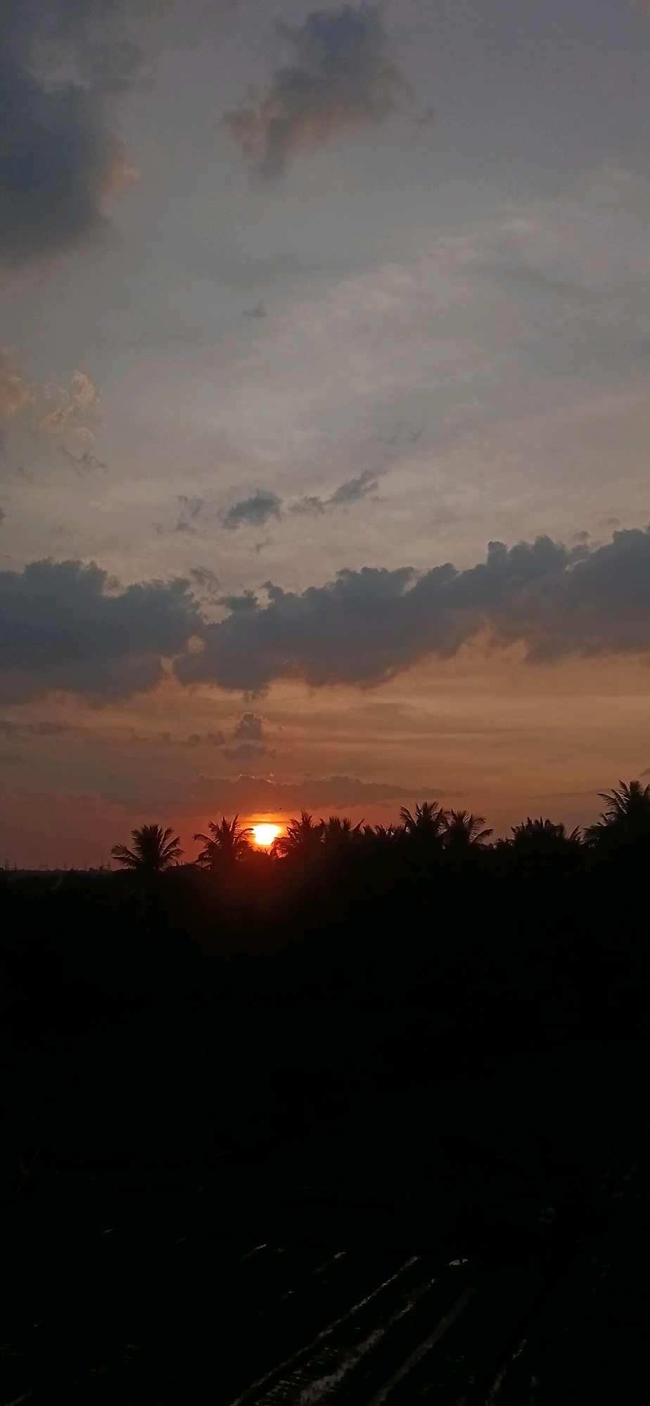 The image shows a sunset over a silhouetted landscape of palm trees, likely in Arishinakunte, India. The sun is partially obscured by the trees and clouds, casting an orange glow across the sky. The foreground is very dark, with indistinct shapes that may be agricultural furrows. The sky is filled with varying shades of gray, orange, and yellow clouds, creating a dramatic twilight scene. No people or specific man-made structures are clearly visible.
