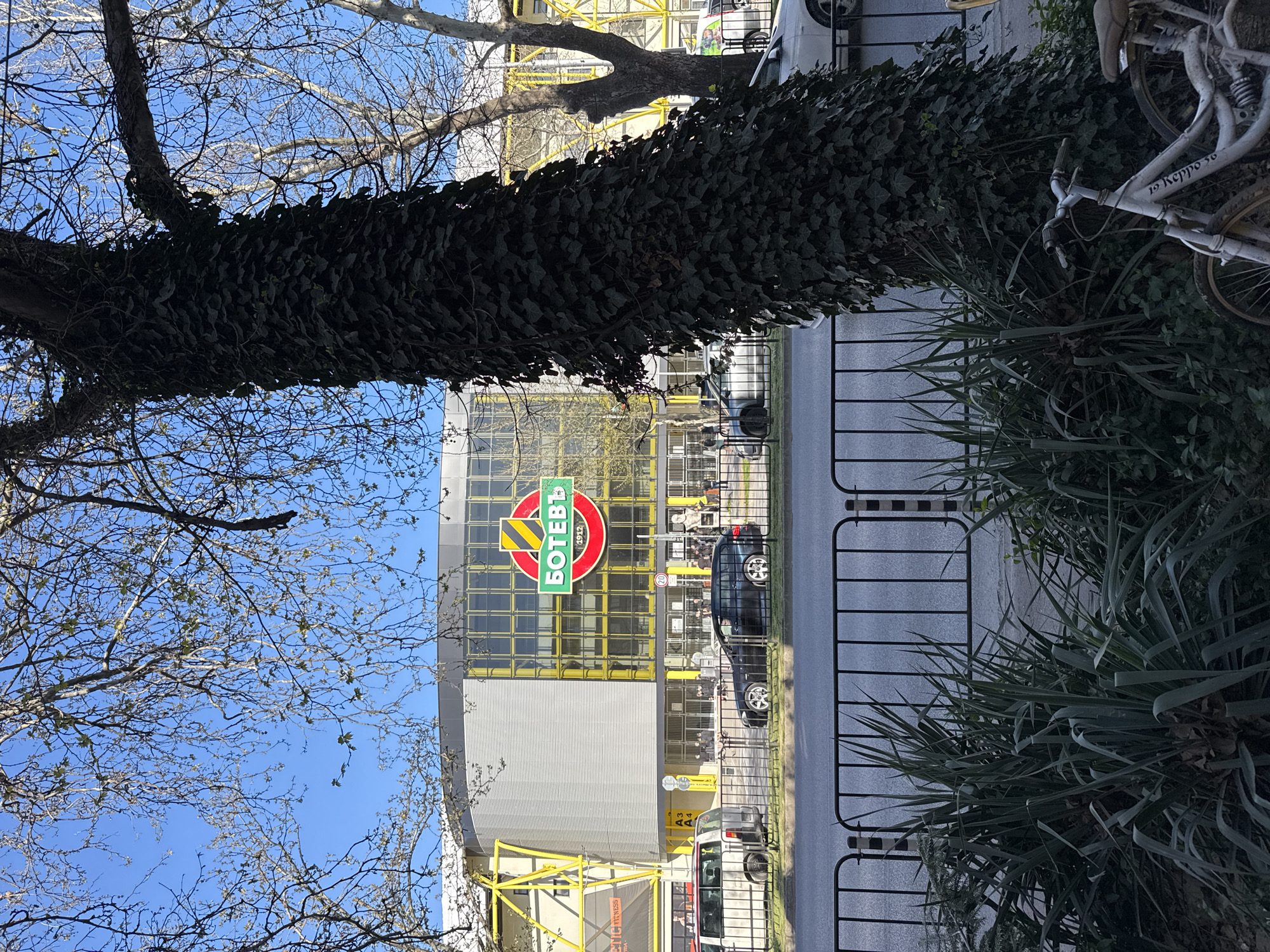 The image captures the Botev Plovdiv stadium in Plovdiv, Bulgaria. The stadium's façade is visible, featuring the team's logo. A large tree, partially covered in ivy, dominates the foreground. Bare branches of trees are visible against a clear blue sky. A metal fence runs along the street. A car is parked near the building.