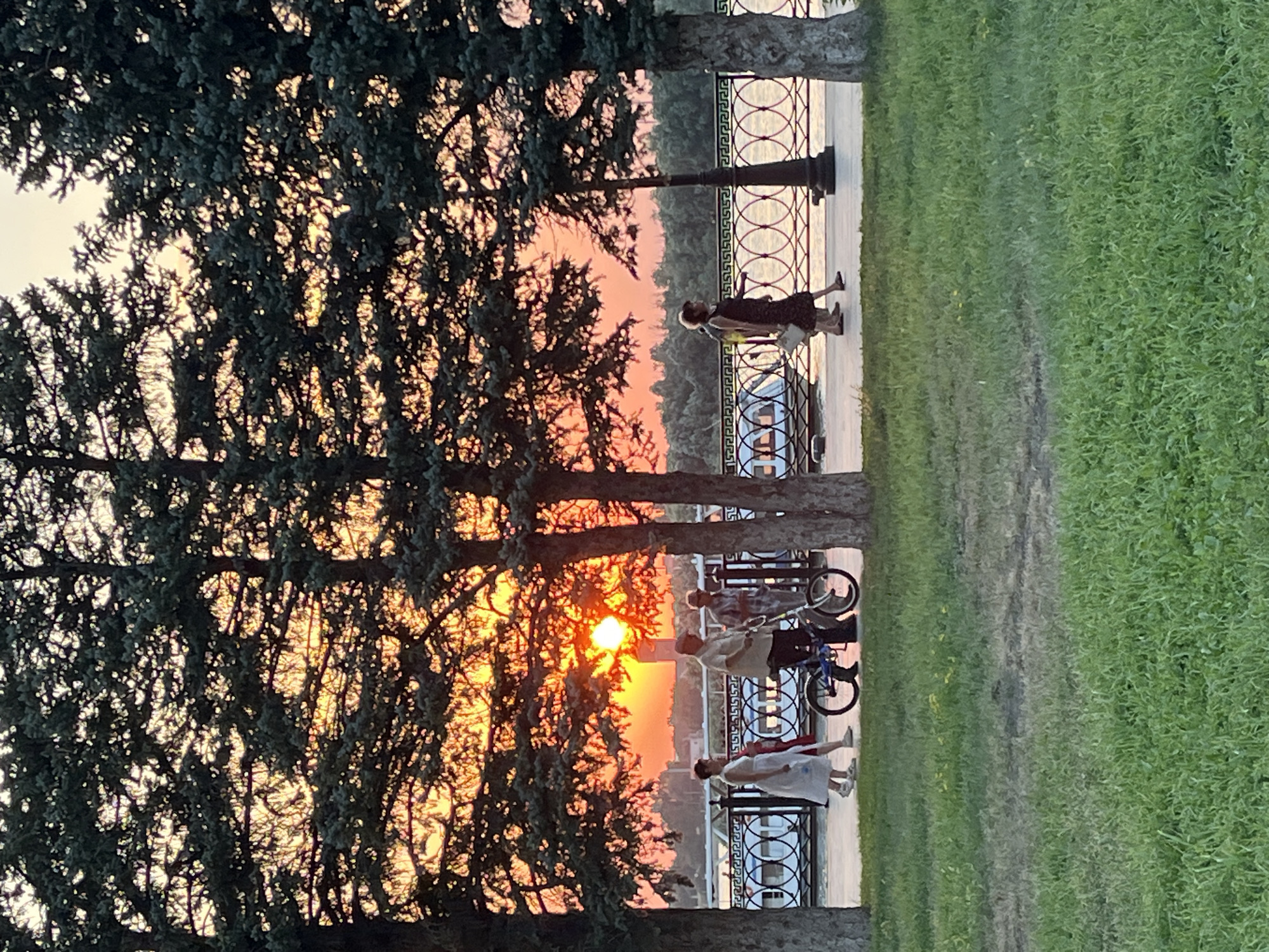 The image depicts a sunset scene along the Volga River in Astrakhan, Russia. In the foreground, a lush green lawn is visible, transitioning to a paved walkway behind it. Along the walkway, several individuals are present. A woman in a white dress walks to the left, followed by a man with a bicycle, who is accompanied by another person. Further down the walkway, a woman in a dark dress walks towards the right. A decorative metal fence separates the walkway from the river, where boats can be seen docked. Tall evergreen trees with dense foliage are positioned throughout the scene, framing the view of the sunset. The sky is illuminated with vibrant orange and pink hues, characteristic of a sunset. In the distance, trees and buildings are silhouetted against the colorful sky. The overall atmosphere is serene and suggests a pleasant evening stroll.