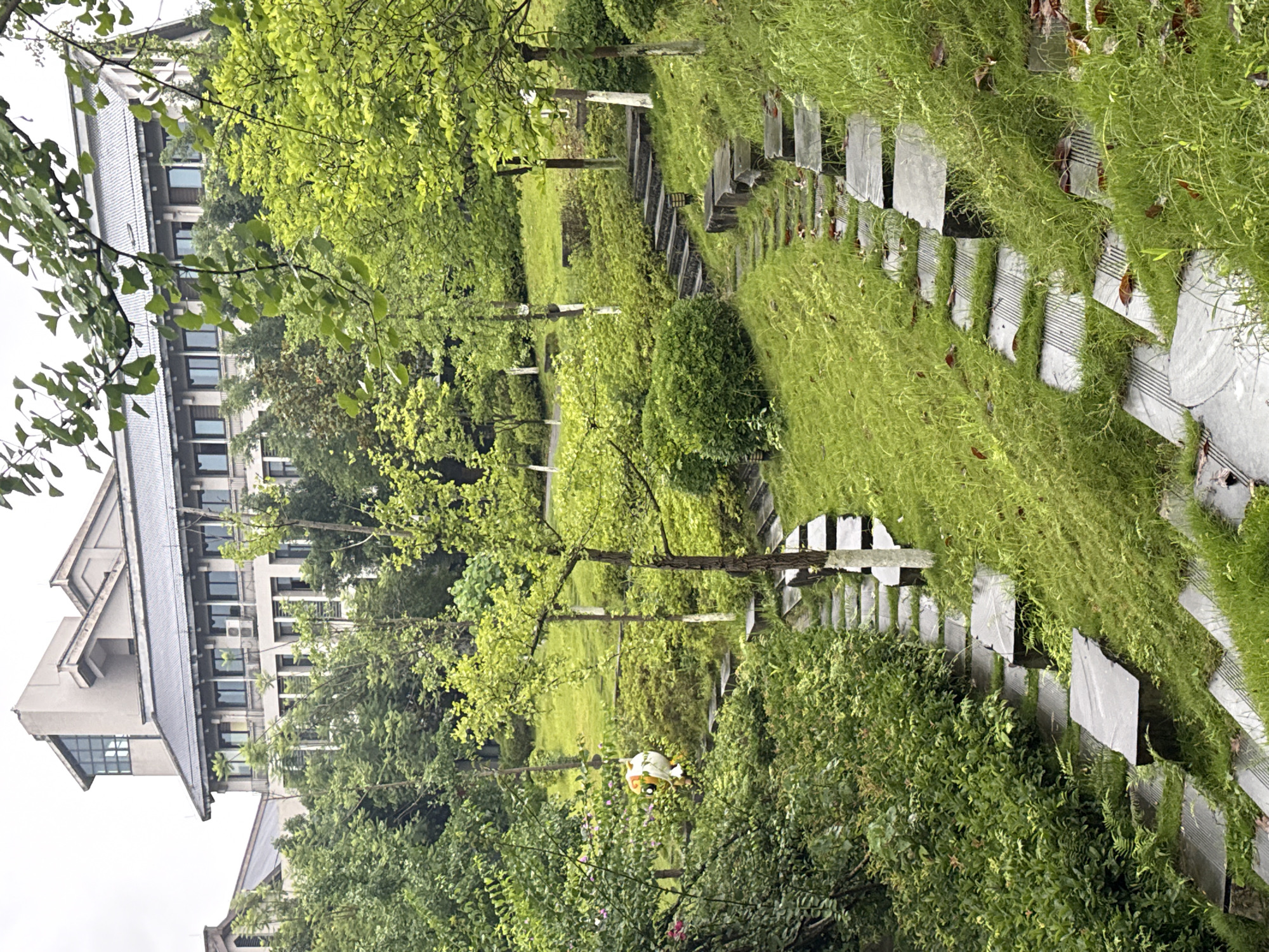 This image captures a verdant, sloped garden or park landscape located in Jiangjin, China, with a large, multi-story building visible in the background under an overcast sky. The building exhibits light-colored walls, numerous dark-framed windows, balconies, and a prominent dark, multi-gabled roof with traditional Chinese architectural features. An air conditioning unit is discernible on one balcony. The foreground and midground are dominated by vibrant green foliage, including numerous trees with light green leaves (some identifiable as ginkgo), dense shrubs, and grassy slopes. Two parallel, rustic pathways, constructed from irregularly placed dark stone slabs, ascend the grassy incline, with grass growing between and around the stones. Some tree trunks adjacent to the paths are painted white at their bases. Scattered brown leaves are present on the grass and steps. Partially obscured by foliage in the mid-left, a small, brightly colored figure, predominantly yellow and white with orange/red accents, resembling a cartoon character or mascot, is suspended or positioned amidst the greenery. A small lamppost is present near one of the stone paths.