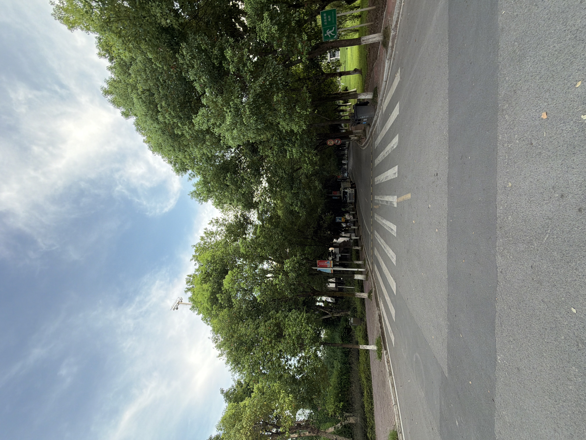 The image depicts a street scene in Jiangjin, China, characterized by a wide, paved road with a prominent crosswalk. The road is lined on both sides by lush green trees, creating a canopy effect overhead. The sky is a mix of blue with scattered white clouds. On the left side of the road, a paved walkway with brick edging is visible, bordered by green vegetation. On the right side, a grassy area with scattered trees is present, along with a green sign indicating an emergency exit. A few parked vehicles are visible in the distance on the right side of the road. The crosswalk is wide and clearly marked with white stripes, suggesting it is a pedestrian crossing. The overall impression is one of a well-maintained urban street with ample greenery.