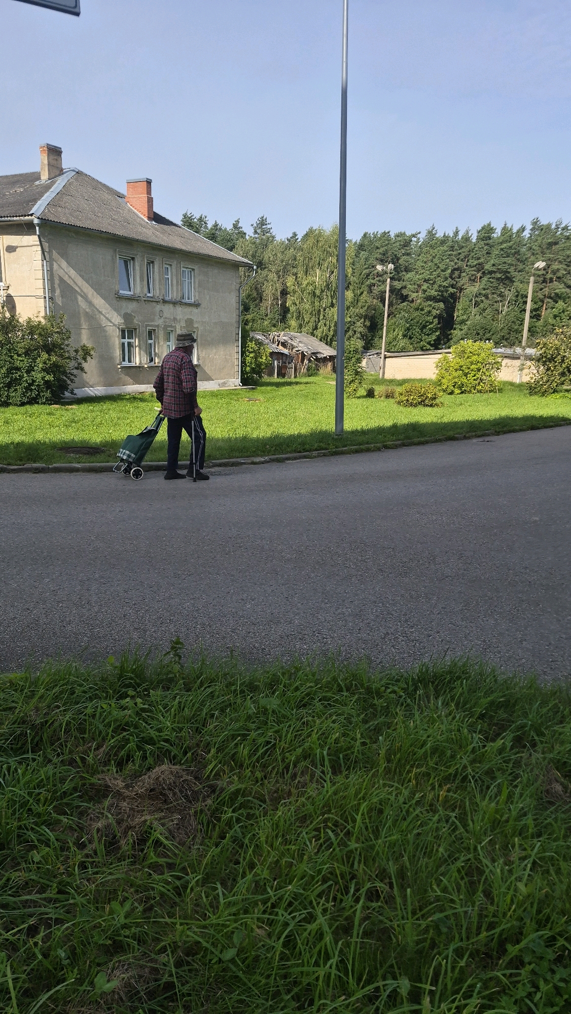 An elderly man wearing a plaid shirt, dark pants, and a hat walks along a paved road in Krauja, Latvia. He is pulling a green shopping cart with two wheels. He is also carrying a cane. The man is walking away from the camera, towards the right side of the frame. To his left is a two-story building with a gray facade and a gray roof. There are several windows on the building. To the right of the building, there is a lush green lawn. Behind the lawn, there is a dense forest. A tall, gray lamppost stands in the middle of the frame, positioned between the man and the forest. The sky is clear and blue. The image appears to have been taken on a sunny day.