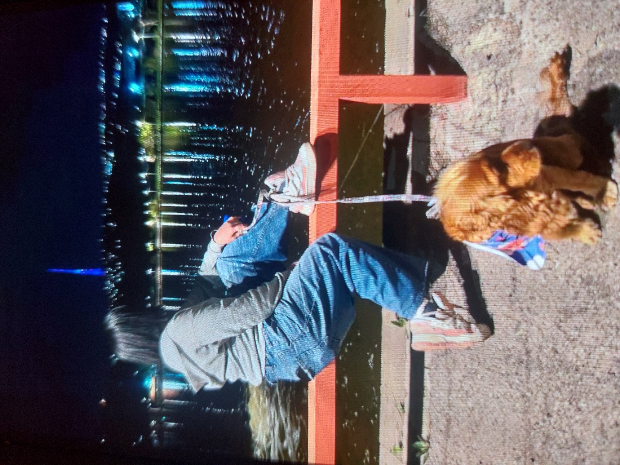 The image, taken in Yerevan, Armenia, captures an evening or nighttime scene by a body of water in a city. A person with long, dark hair, dressed in a light grey long-sleeved top and blue jeans, is seated on a red-orange metal railing. Their legs, clad in light-colored sneakers with subtle colorful details, dangle over the water. The person appears to be holding a small object in their hands.
Beside the person, on a concrete path or embankment, a golden-colored dog, likely a Golden Retriever, lies calmly in a curled-up position. The dog wears a collar or bandana with a blue, red, and white pattern. A white leash, featuring small colorful square designs, extends from the dog's collar towards the person, indicating companionship.
The dark body of water, possibly a river or canal, reflects numerous artificial lights from the city's buildings and structures on the opposite bank, creating elongated streaks of light. A prominent blue light or beam is visible further in the distance, cutting across the dark background. The scene conveys a tranquil moment by the illuminated waterside. No discernible text is visible within the image.