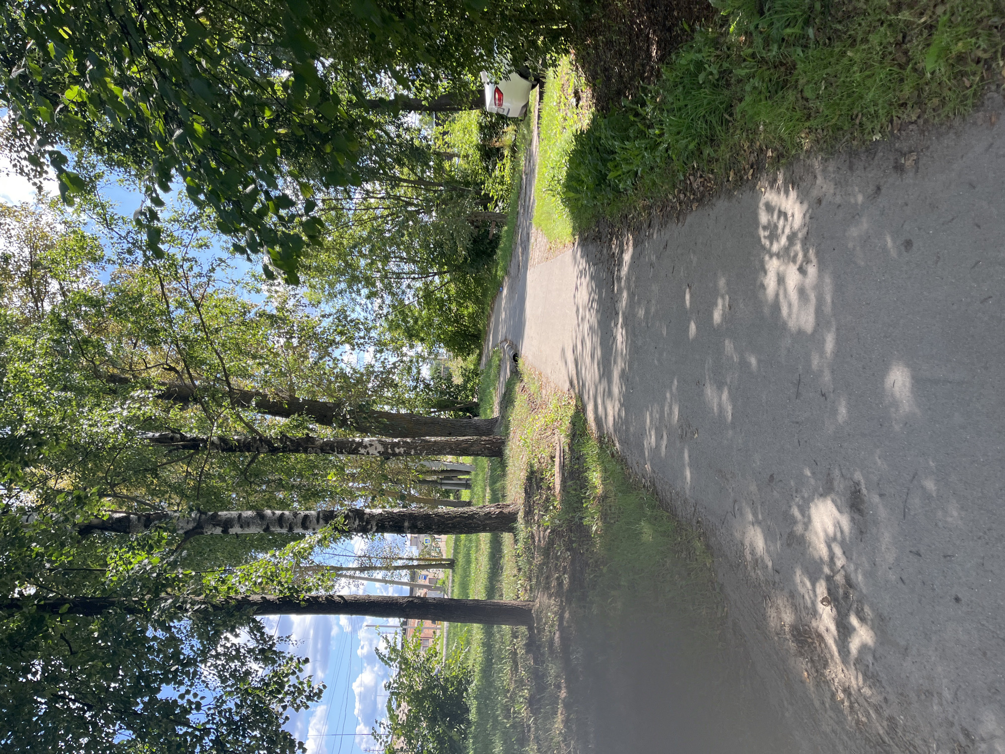 The image shows a paved pathway winding through a tree-lined park or residential area in Ivanovo, Russia. The path is partially shaded by the dense green foliage of deciduous trees, including birch trees with their distinctive white bark, which are prominent on the left side of the path. The ground on either side of the path is covered in green grass and scattered leaves. In the distance, on the right side of the path, a white car is parked amidst the trees and greenery. The sky above is blue with scattered white clouds. The overall impression is a tranquil, sun-dappled scene on a clear day, likely during late summer or early autumn given the greenery.