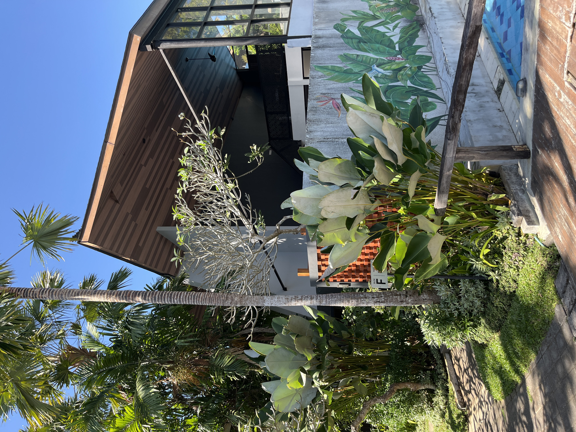 A sunny outdoor scene in Kuta Selatan, Indonesia, features a modern building with a wooden-paneled sloped roof and large glass windows, surrounded by lush tropical foliage and a swimming pool. In the foreground, a weathered wooden railing runs along the edge of a wooden deck overlooking a blue tiled swimming pool. Large, light-green tropical plants with broad leaves are prominent in the foreground and mid-ground, some reaching towards the building. A tall palm tree with a patterned trunk stands to the left of the building, with other palm fronds visible in the background. A wall with a colorful mural depicting tropical plants and birds runs along the property. The ground is a mix of paved walkways and green grass. The sky is clear and blue.