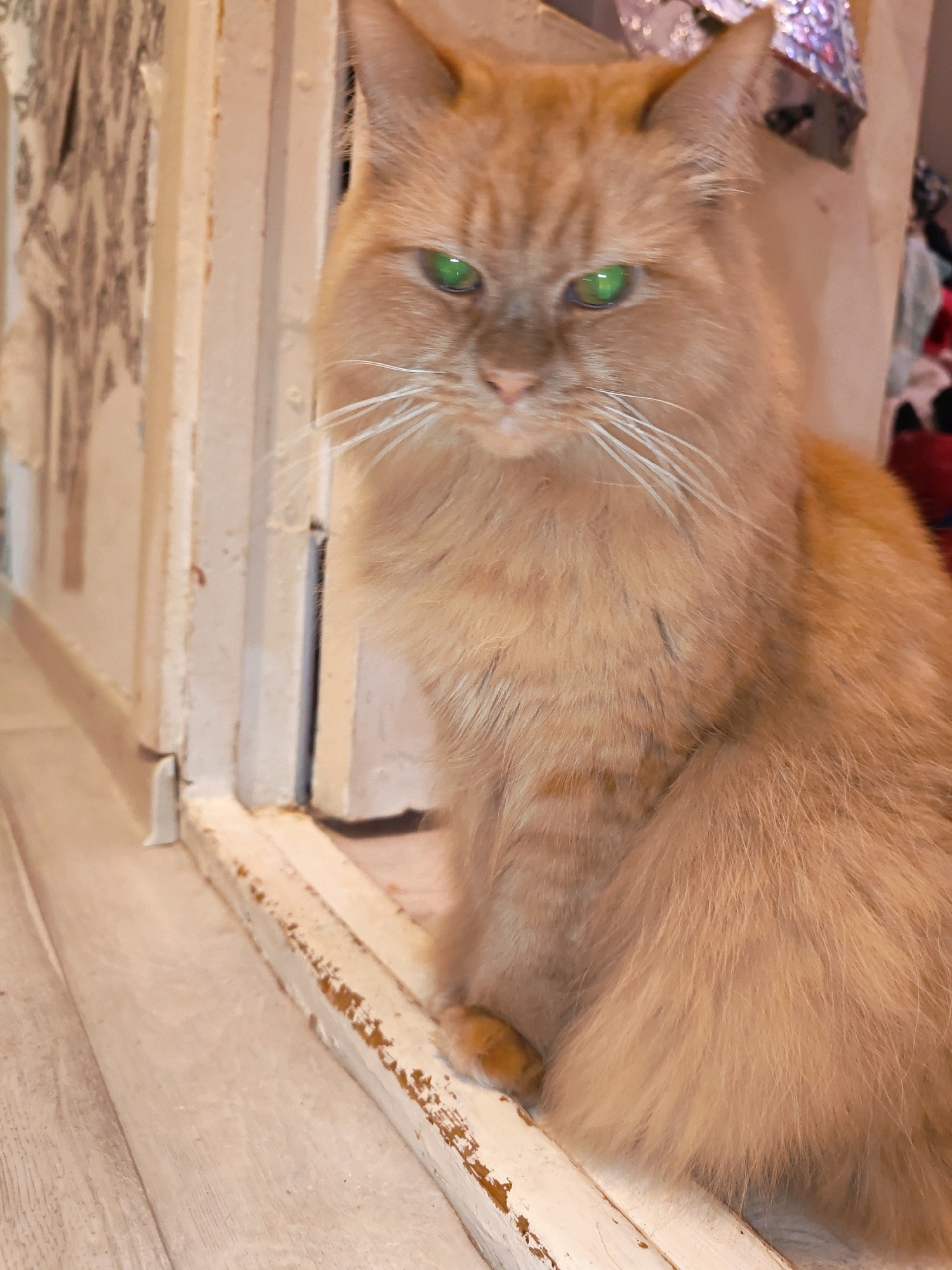 A ginger cat with bright green eyes sits on a light-colored wooden floor. The cat is positioned in what appears to be a doorway, with worn white-painted trim visible around the opening. Behind the cat, to the left, is a wall with what looks like peeling wallpaper that has a patterned design. To the right of the cat, there are hints of colorful items, possibly clothing or fabric. The overall scene suggests an indoor setting, likely a home in Chaikovsky, Russia. The lighting is dim, creating a slightly moody atmosphere.
