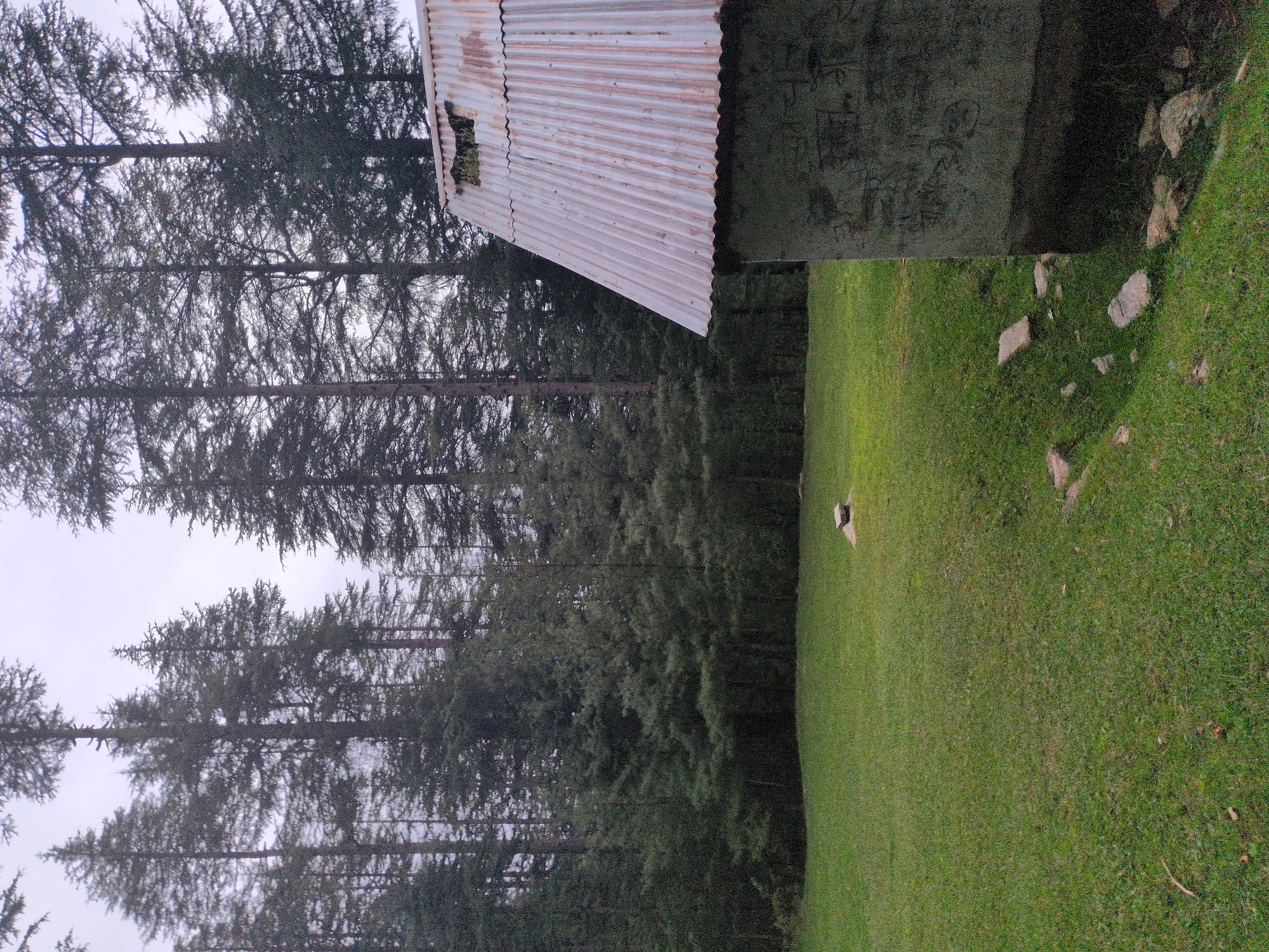The image depicts a rustic scene set against a backdrop of a dense forest, likely within or near the city of Chhanikkhod, India. In the foreground, a small, dilapidated structure with a corrugated tin roof is visible on the right side. The roof appears weathered and has a hole in it, with some greenery growing through. The walls of the structure are concrete and bear visible graffiti. To the left of the structure is a well-maintained grassy area, indicative of a clearing or a small field. A few scattered stones are present in the grass, with one larger cluster of stones near a small mound in the mid-ground. The background is dominated by tall, dark green coniferous trees, suggesting a mountainous or hilly terrain. The sky is overcast and a pale gray, contributing to a subdued, natural lighting of the scene. No people or animals are present in the frame.