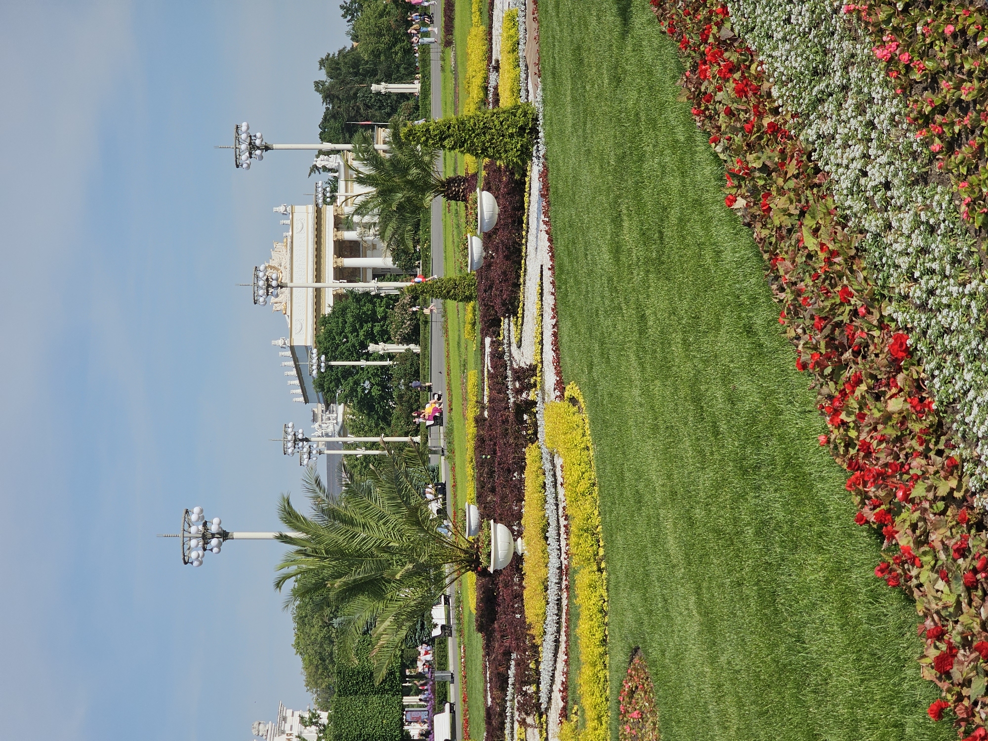 This image depicts a vibrant, well-maintained section of the Exhibition of Achievements of National Economy (VDNKh) in Moscow, Russia, captured on a clear, sunny day.
In the foreground, a neatly manicured green lawn occupies the lower left portion of the frame. It transitions to a diagonal border of multi-layered flowerbeds in the lower right, showcasing bands of red begonia flowers, followed by small white flowers (likely alyssum), and then smaller pinkish-red flowers.
The midground features an elaborate, curvilinear flowerbed design. This central arrangement includes an inner band of dark reddish-brown foliage plants, encircled by a wider band of bright yellow foliage plants. Within this display, a prominent palm tree with mature fronds is centrally planted, flanked by two white, classical-style urns, each holding green foliage. Two conical evergreen shrubs are positioned symmetrically near the palm tree. Behind these gardens, a wide paved pathway is visible, traversed by numerous pedestrians. Individuals and small groups are seen walking casually in various directions, with one person on the right pushing a stroller.
The background is dominated by a grand, light-colored classical building, characteristic of VDNKh's pavilions. This building features a prominent facade with multiple columns, an ornate pediment, and decorative sculptures along its roofline. Text on the pediment is partially visible. Several distinctive tall streetlights, each topped with a cluster of spherical globe luminaires, are distributed throughout the scene, appearing both in front of and around the main building. A dense line of dark green trees forms a natural backdrop behind the architecture and streetlights. The sky above is clear and light blue, indicating fair weather.